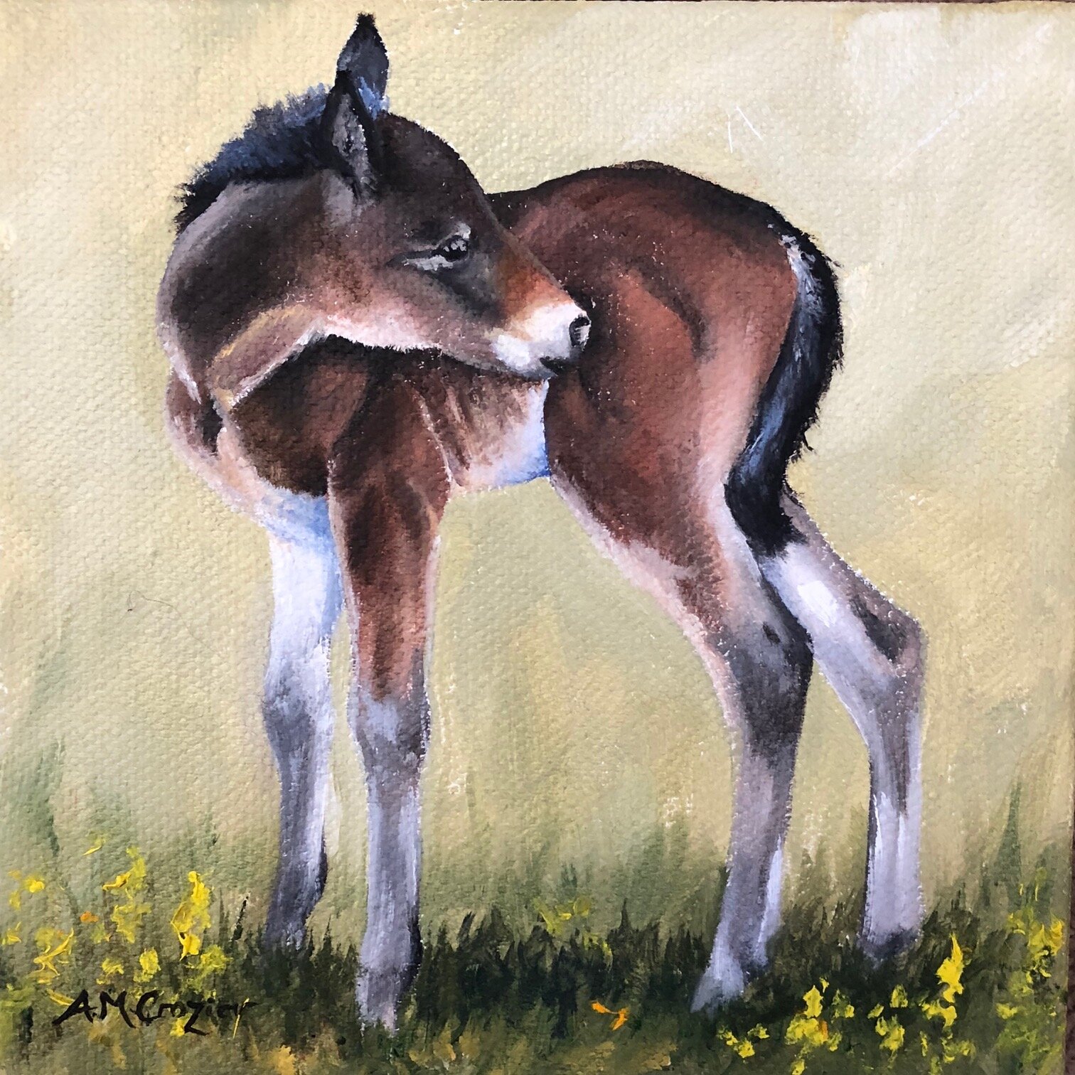 Spring Foal II