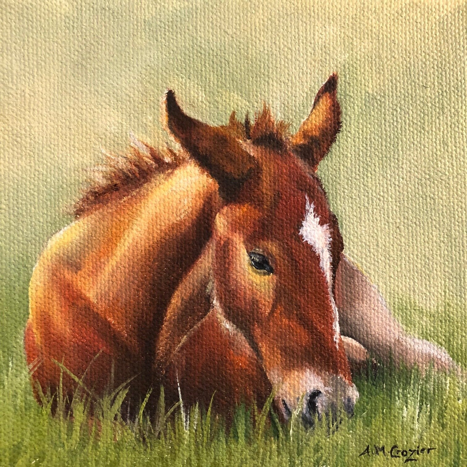 Spring Foal III