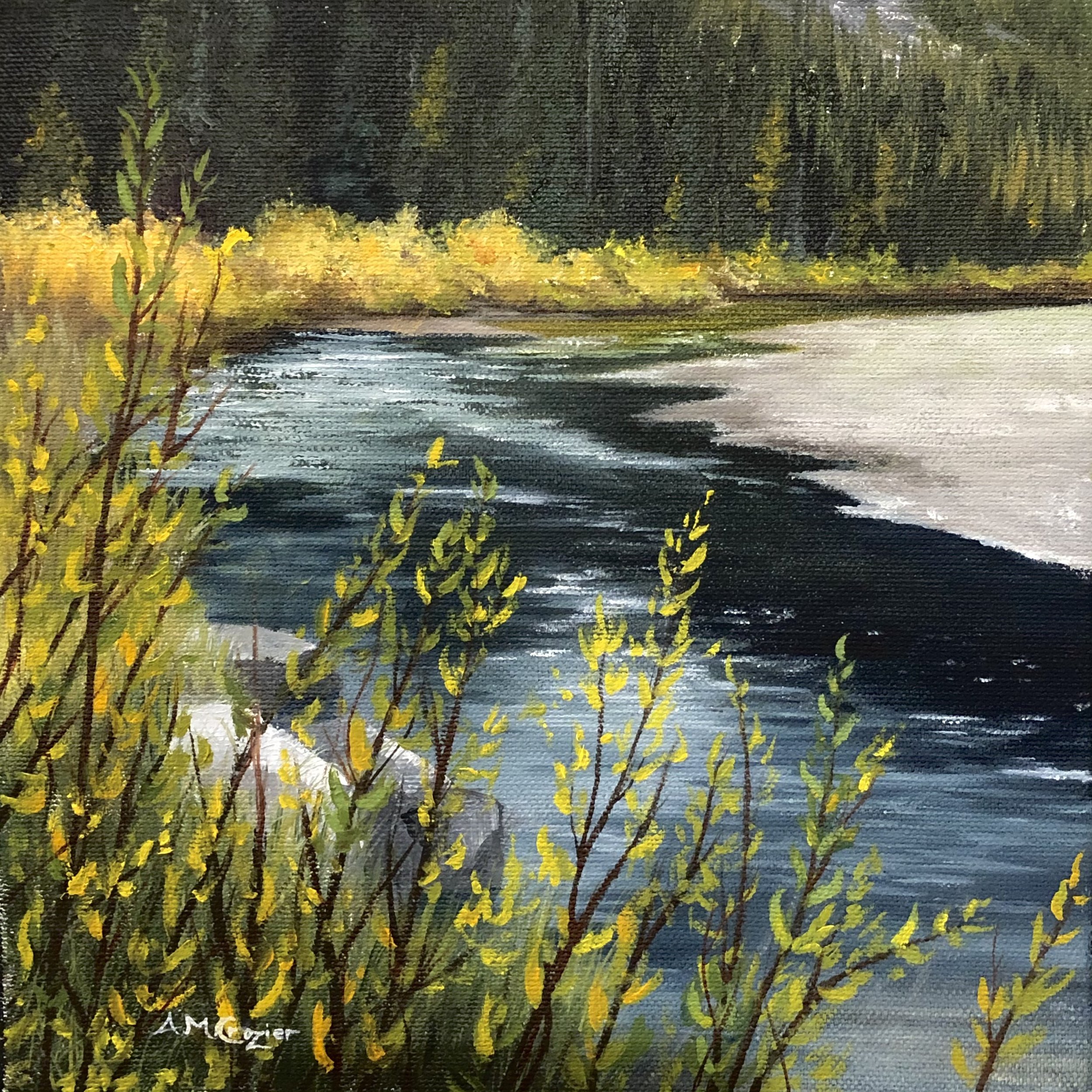 Along the River - Kananaskis