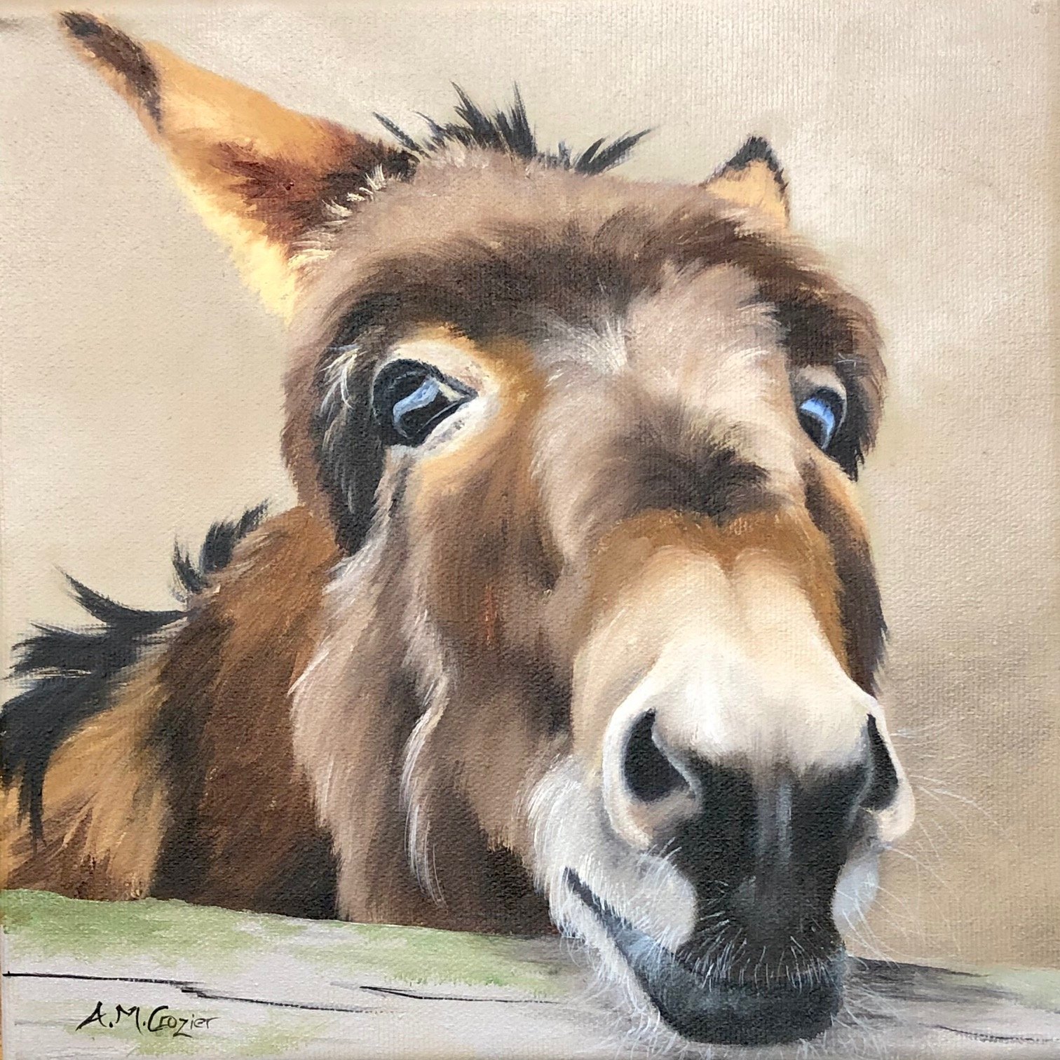 Donkey I