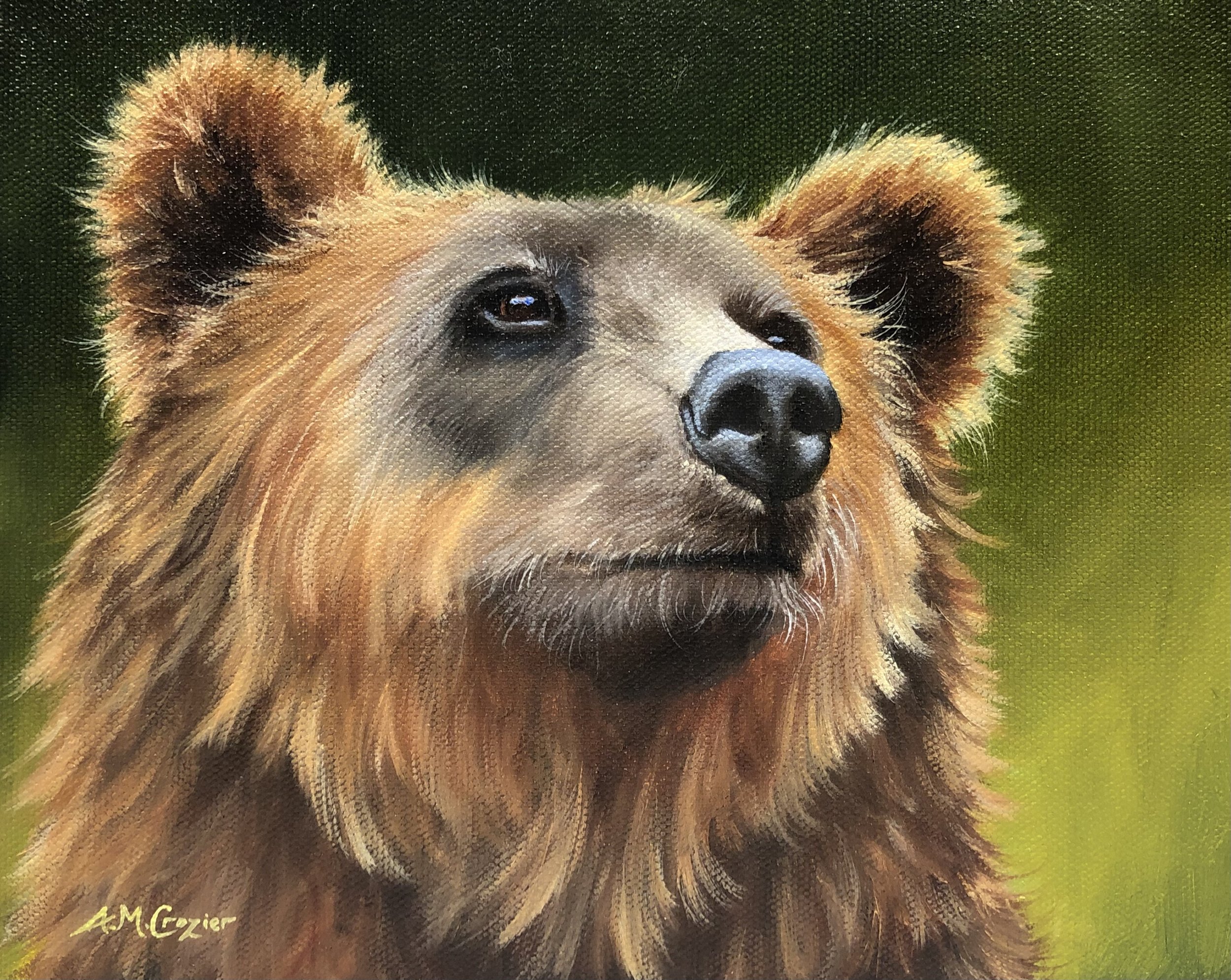 Little Grizzly I