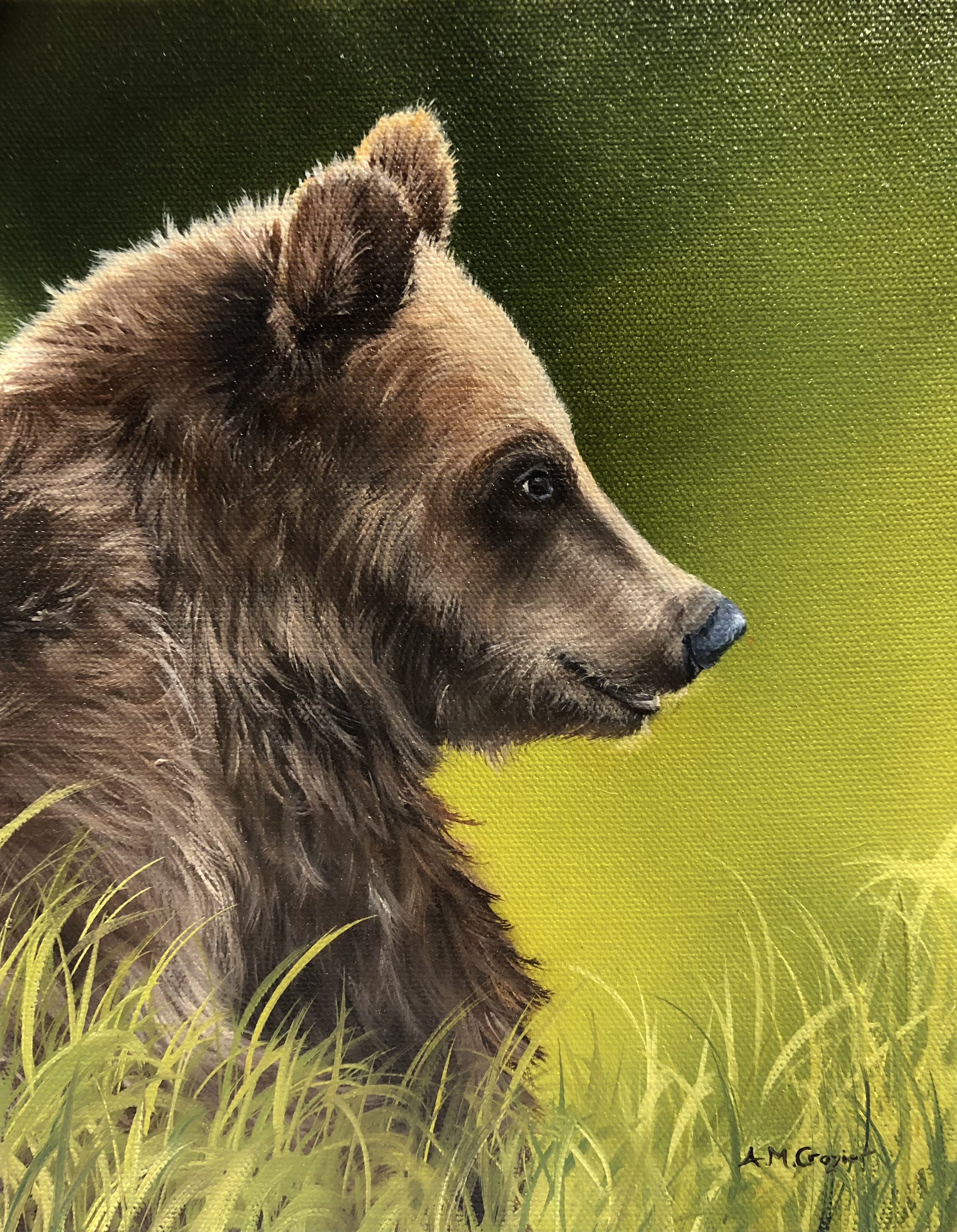 Little Grizzly II