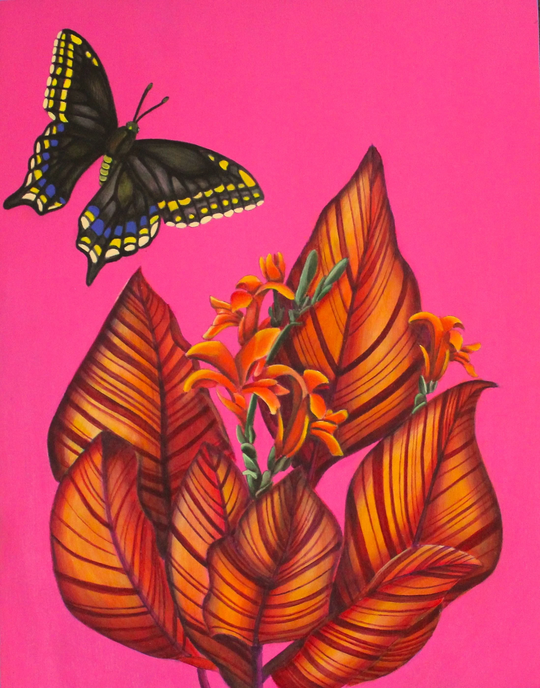 Canna Swallowtail.jpg