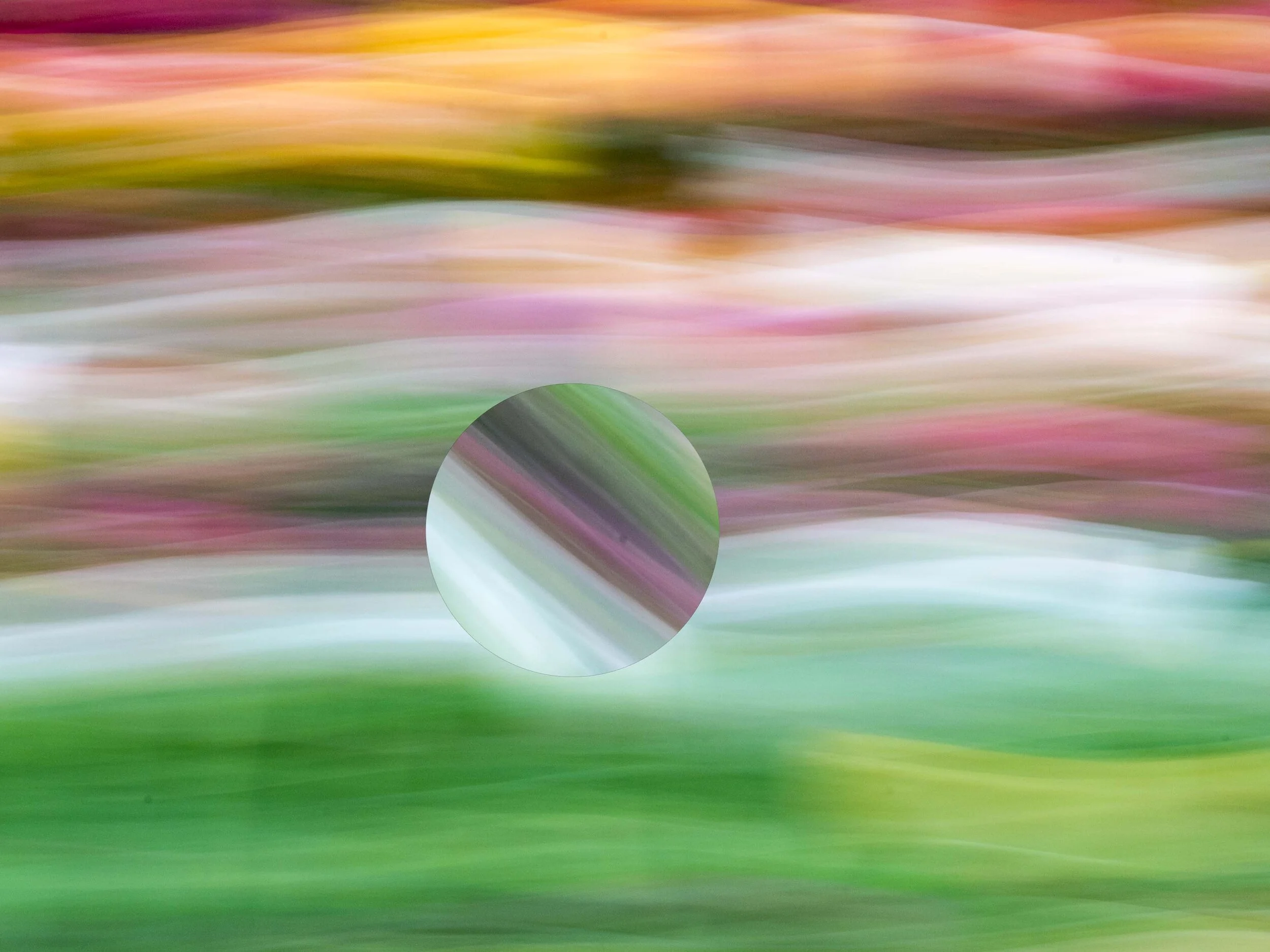 Spring6.jpg