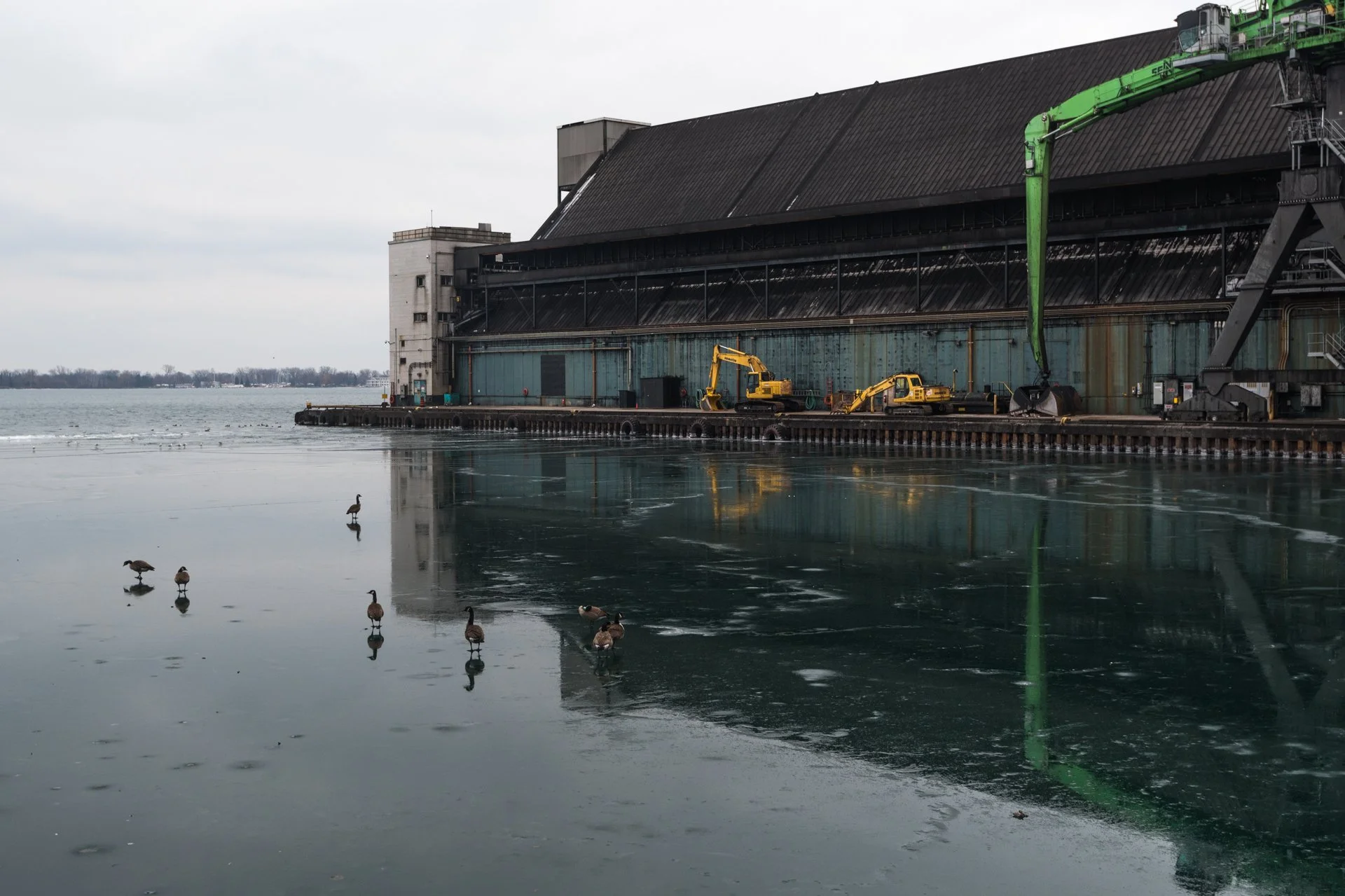 Harbourfront 2022-2.jpg