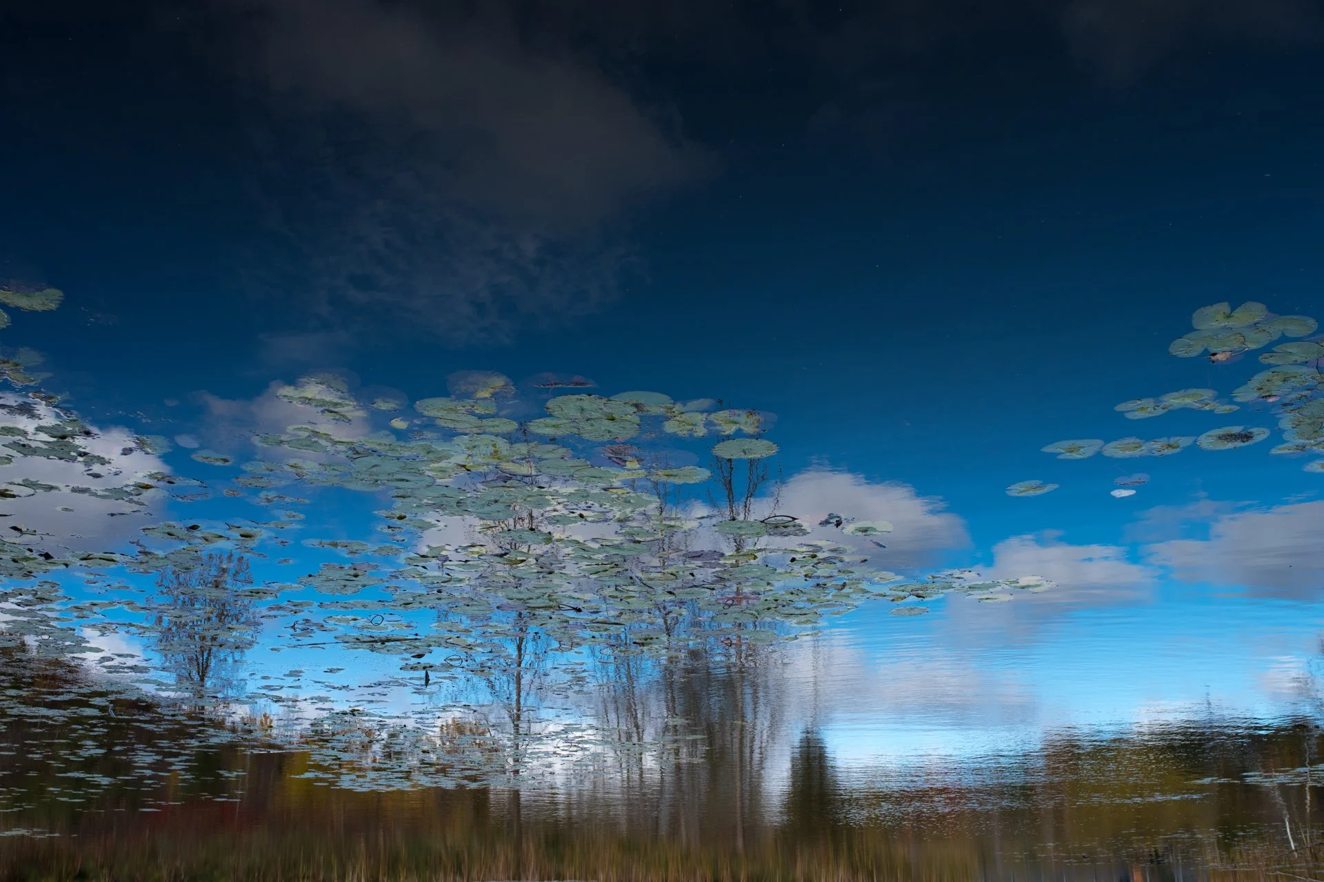 sky