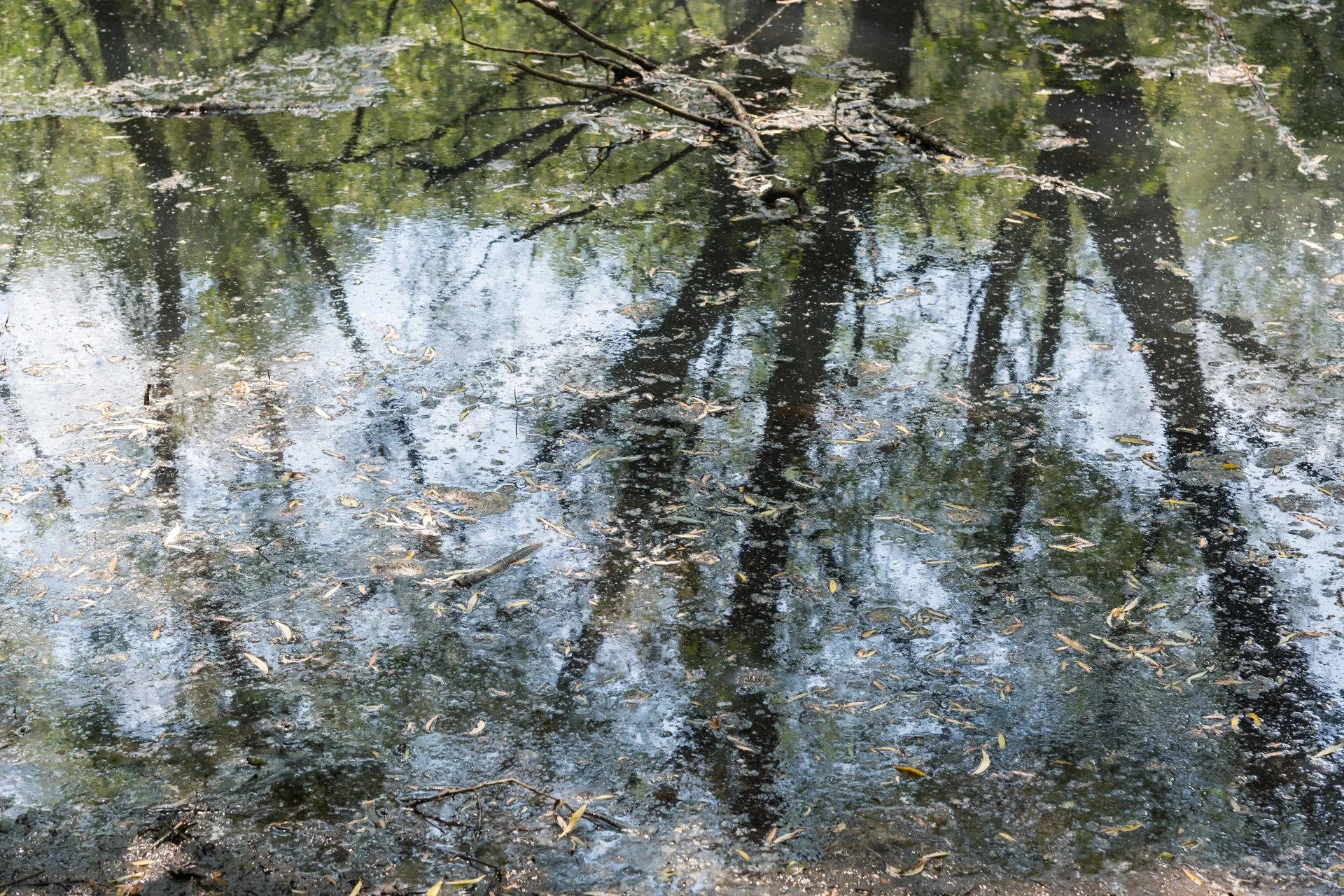 Landscapes-2.jpg