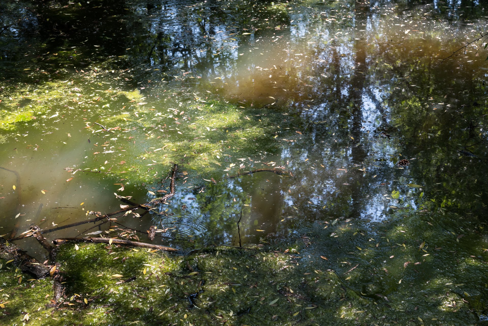 Landscapes-4.jpg