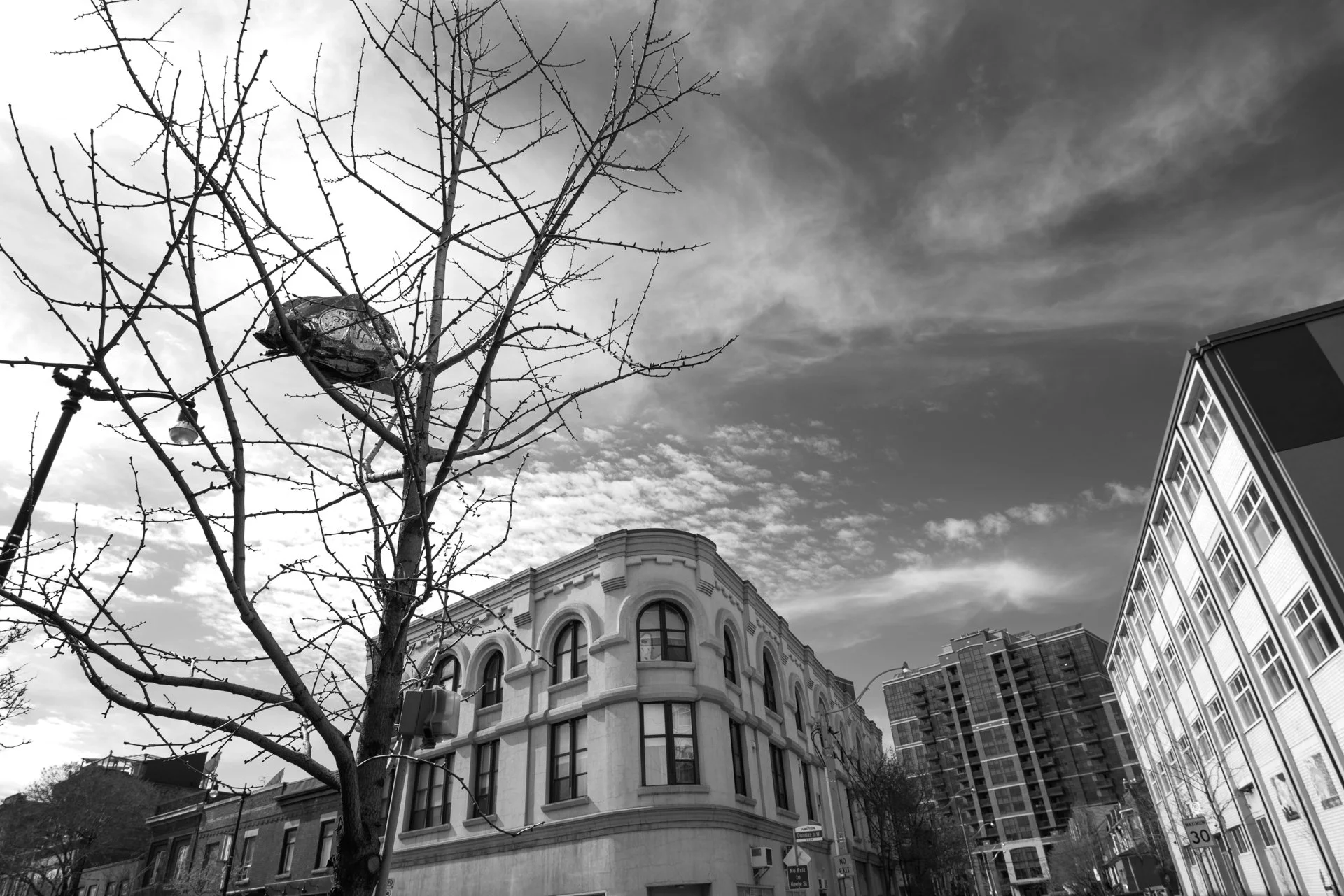 Dundas West-5.jpg
