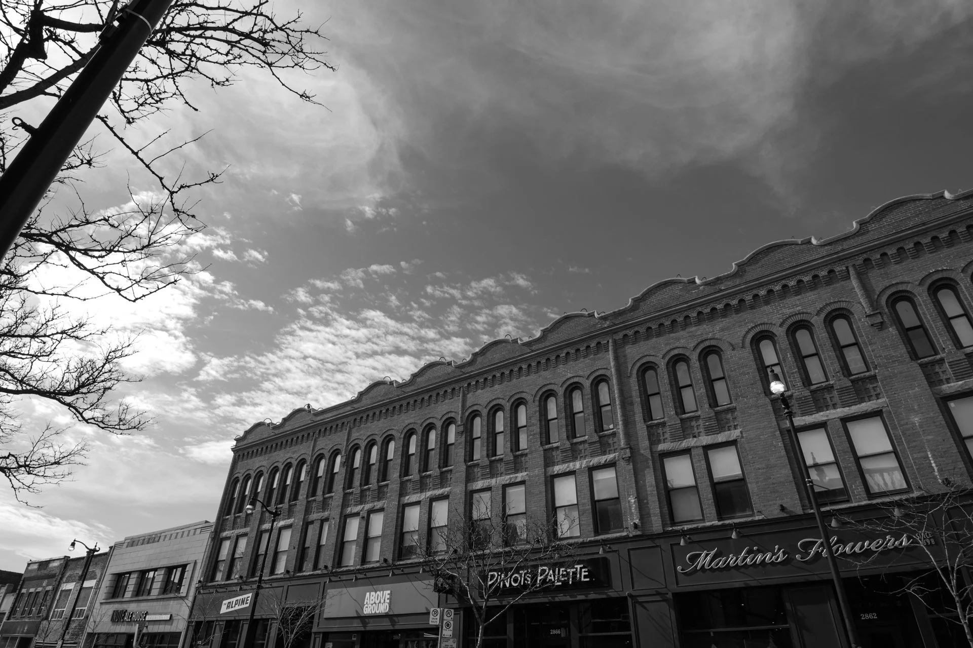 Dundas West-6.jpg