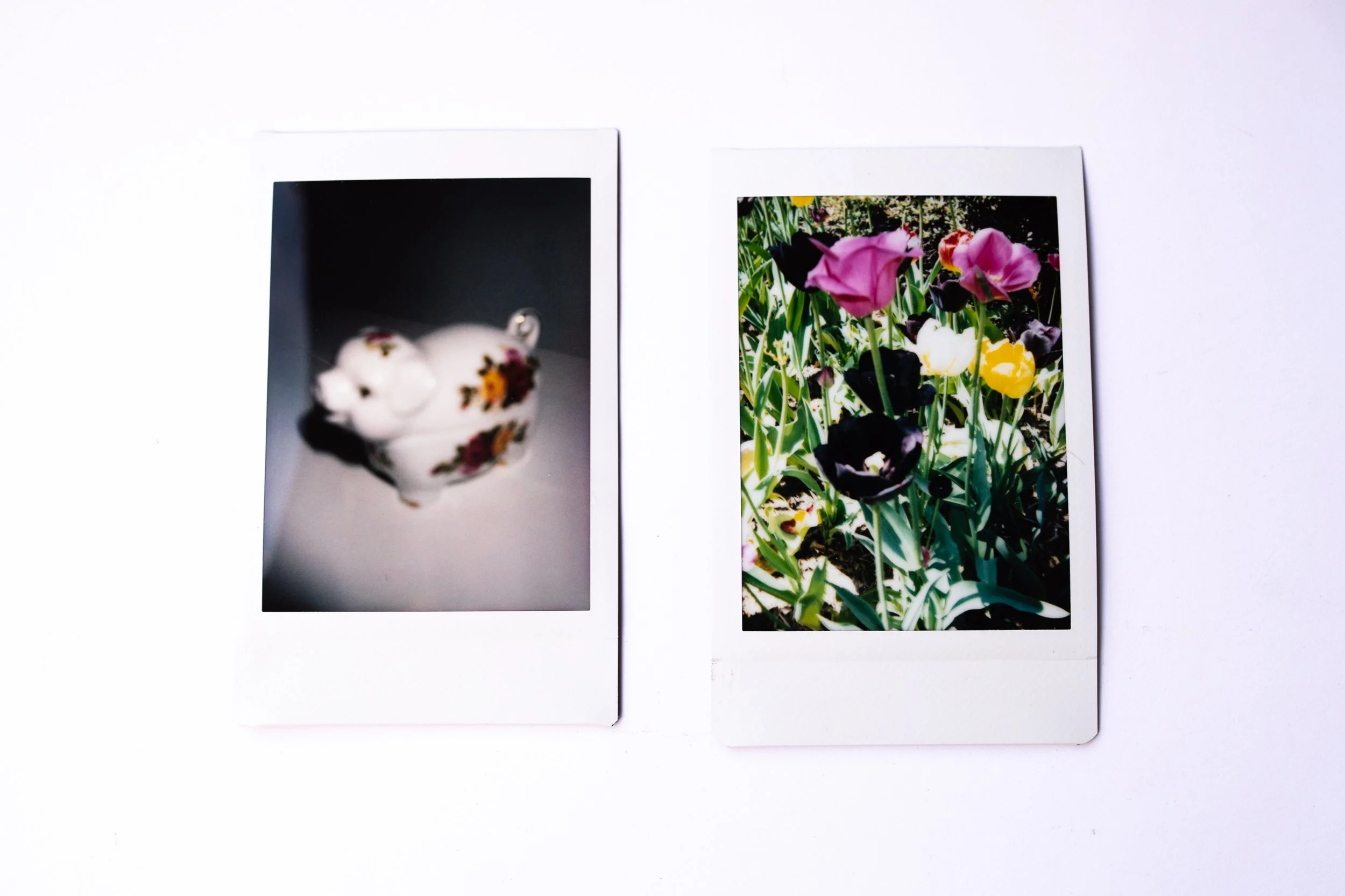 Polaroid-6.jpg