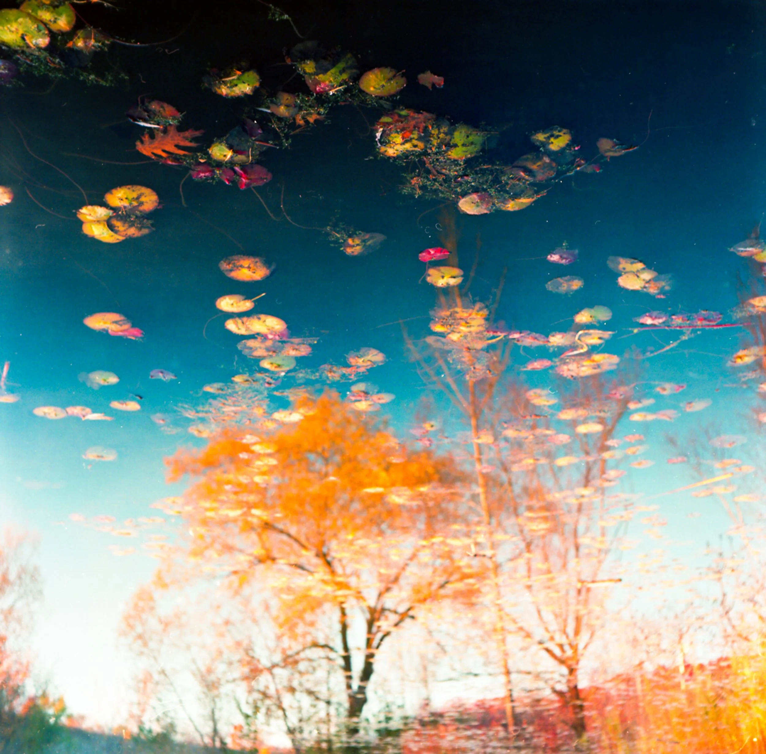 Autumn-1.jpg