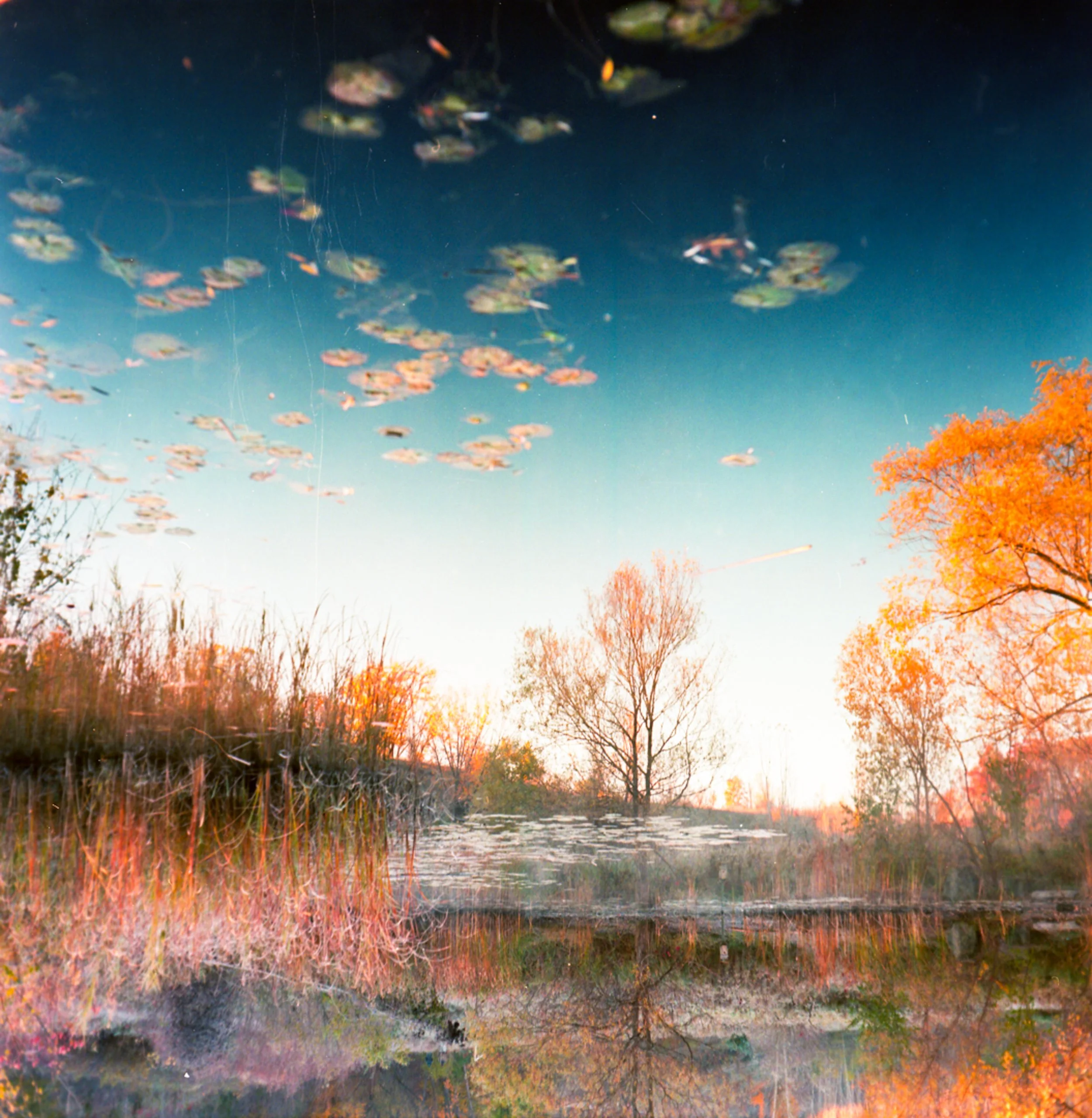 Autumn-2.jpg