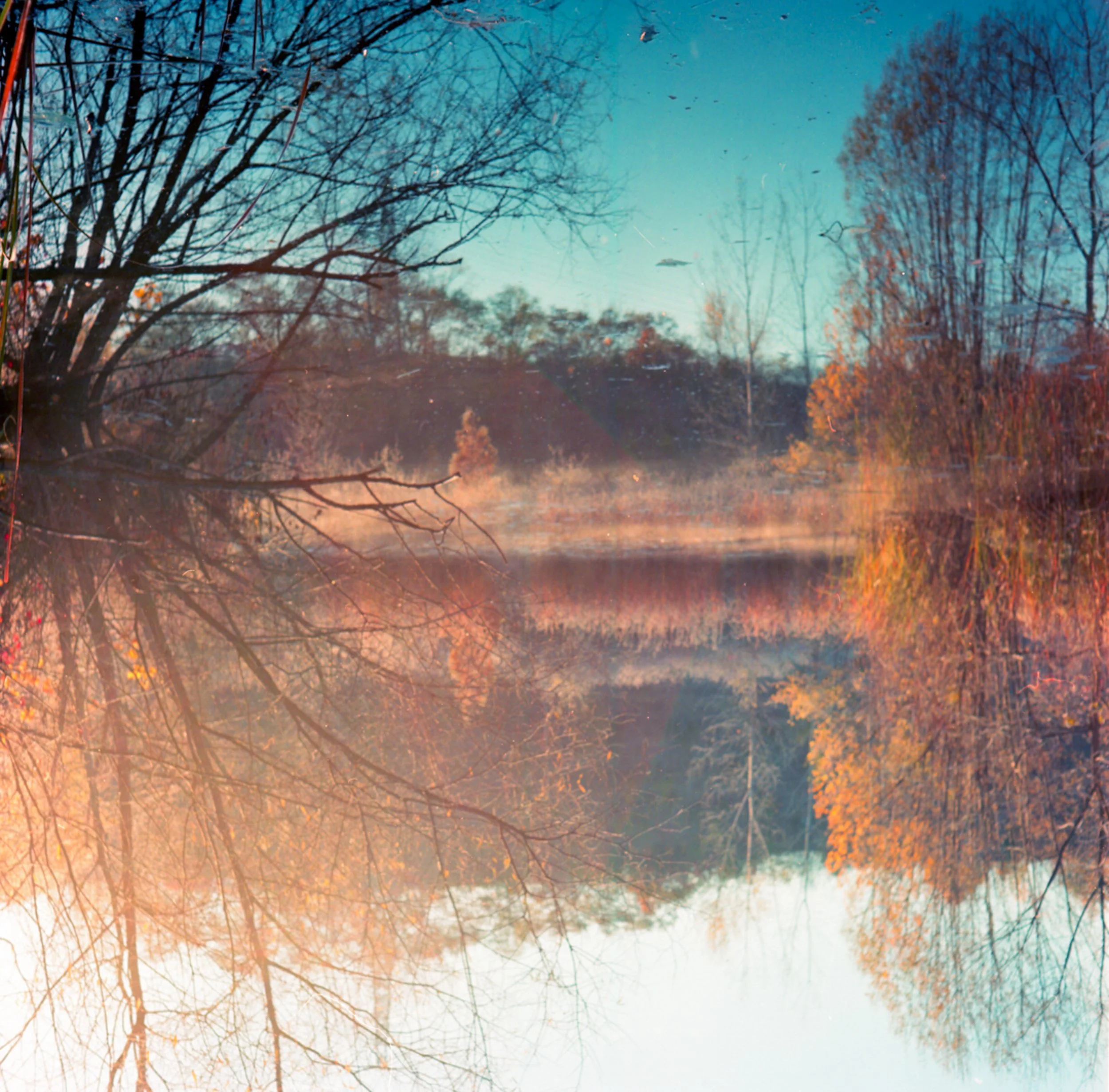 Autumn-5.jpg