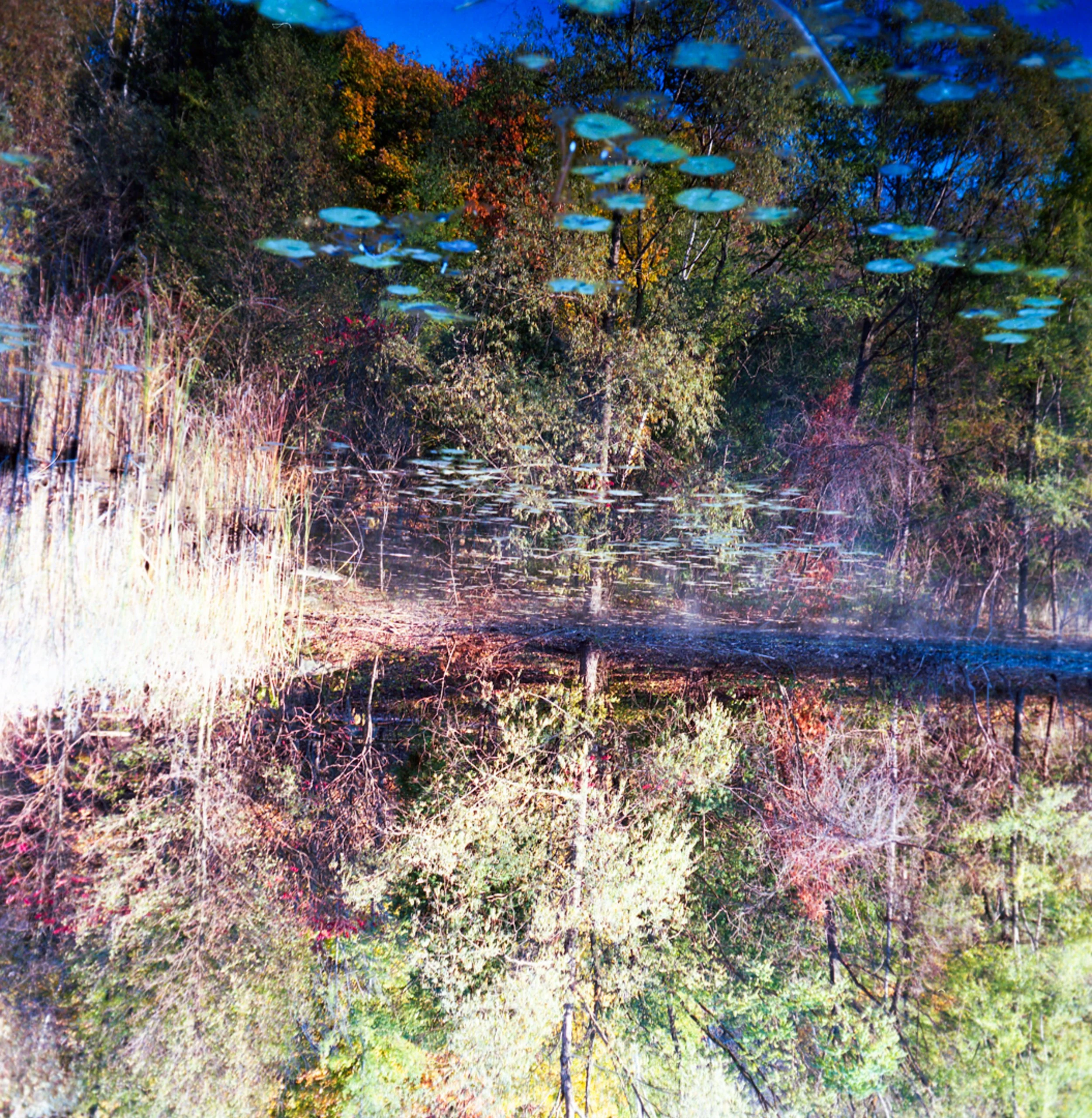 Autumn-6.jpg