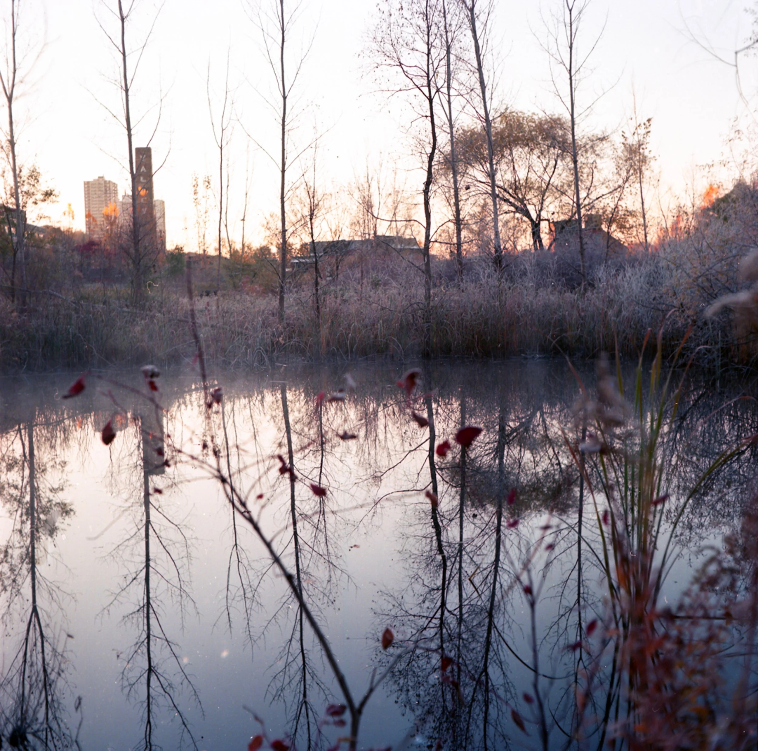 Autumn-8.jpg
