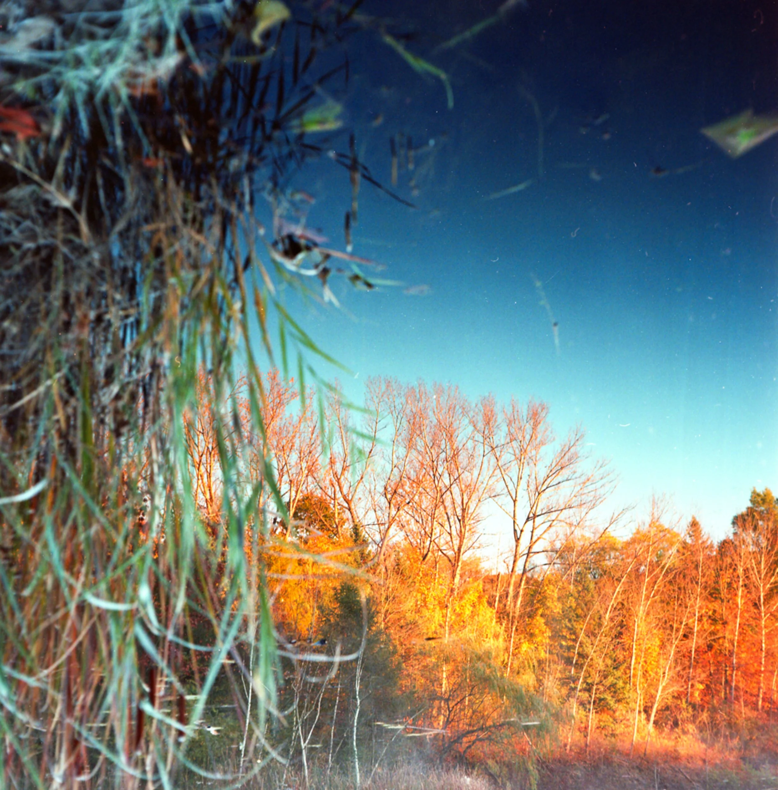 Autumn-9.jpg