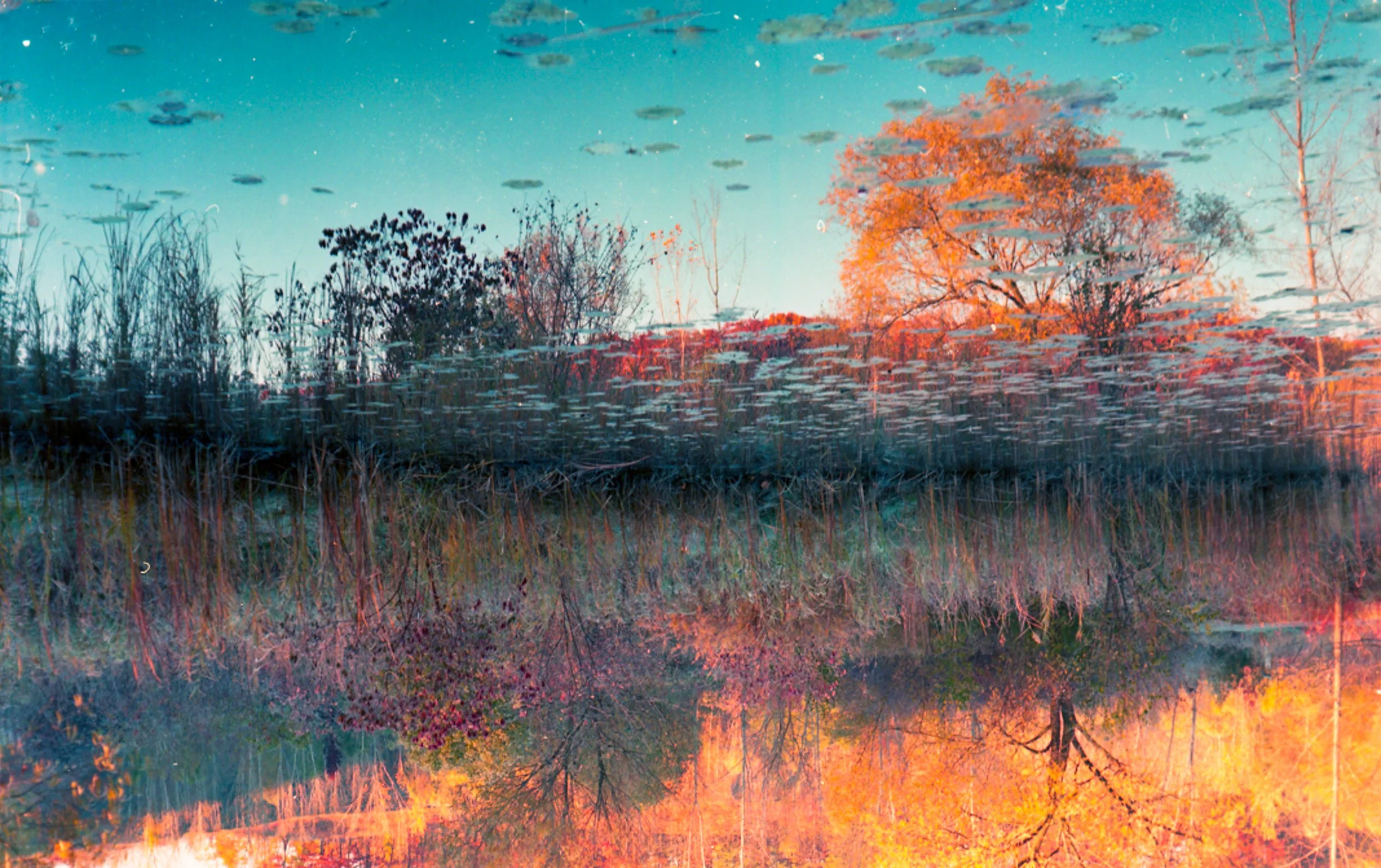 Autumn-14.jpg