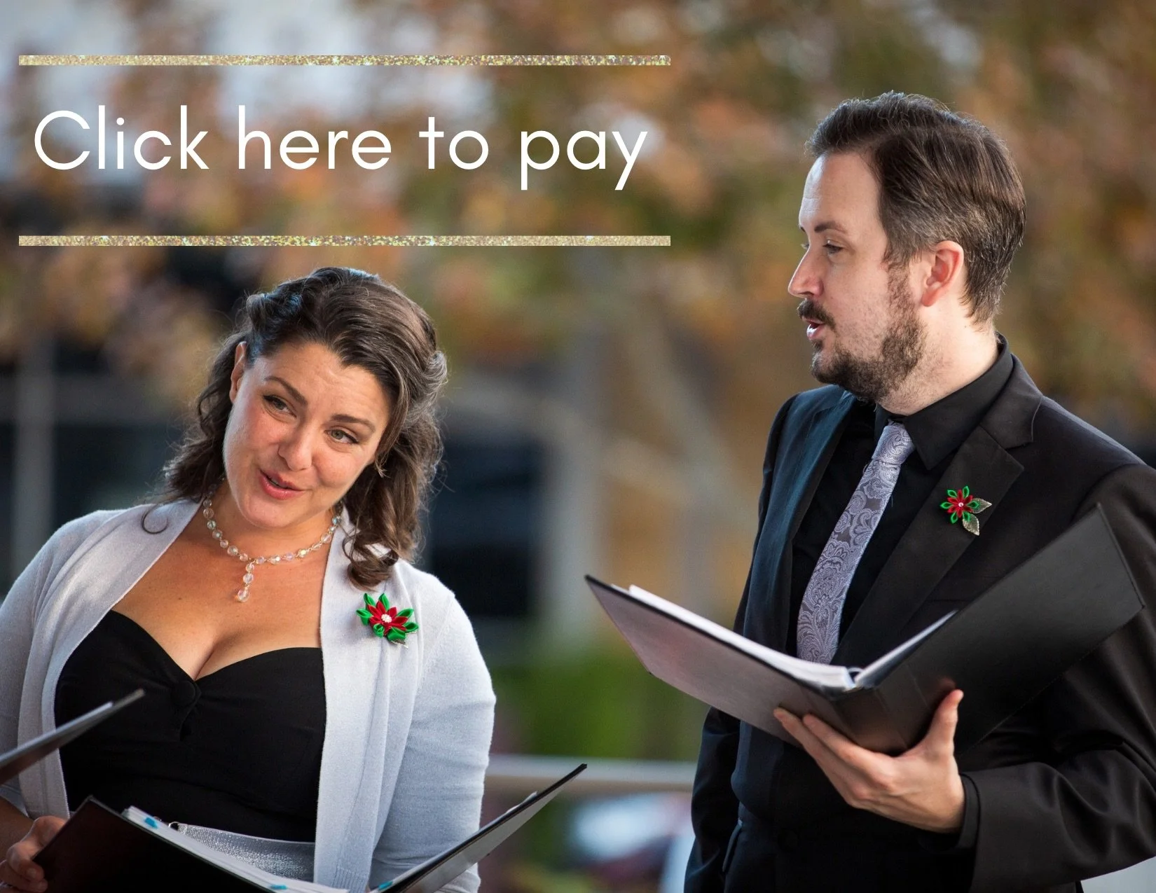 Click here to make a payment.jpg