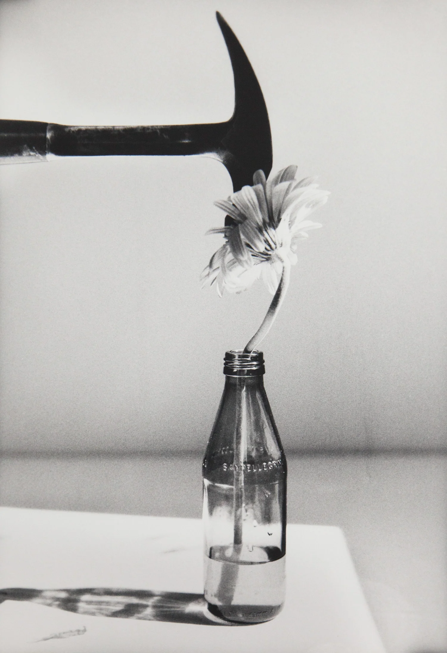 FlowerandHammer_EDIT.jpg