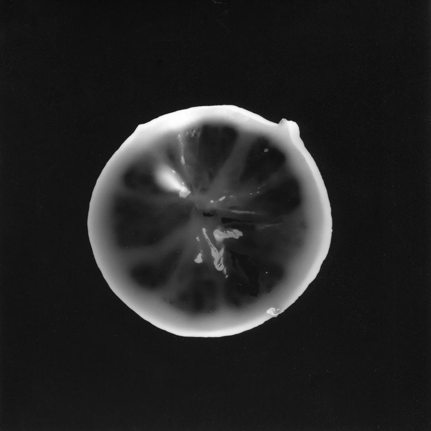 Photogram_lemon_EDIT.jpg