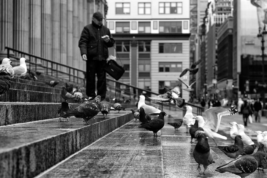 birdman-for-IG.jpg