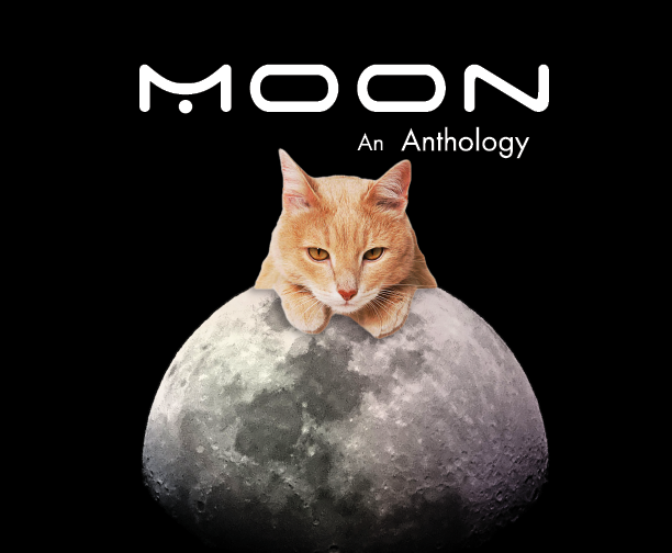 moon cats hw 2.png