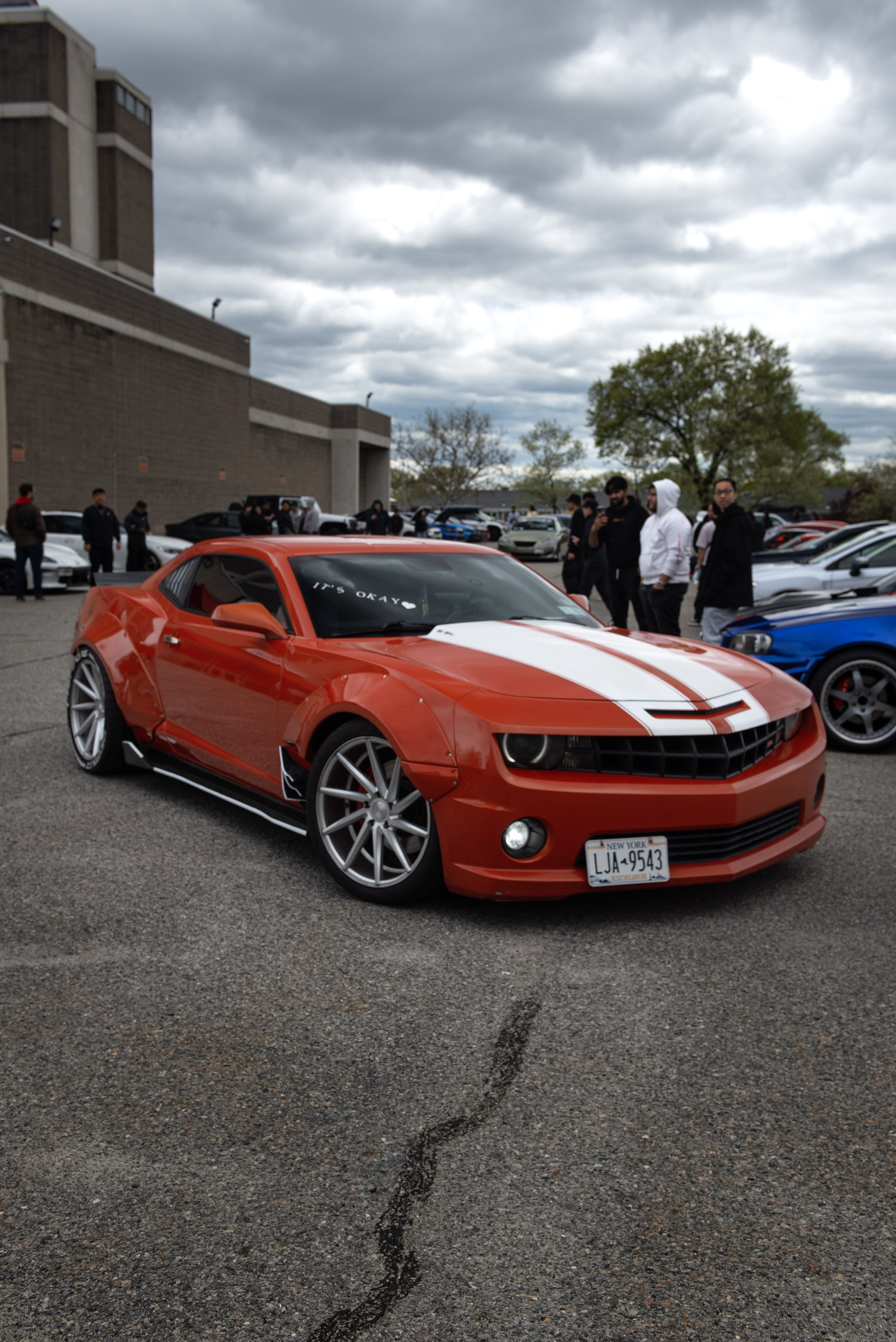 DSC_6413.jpg