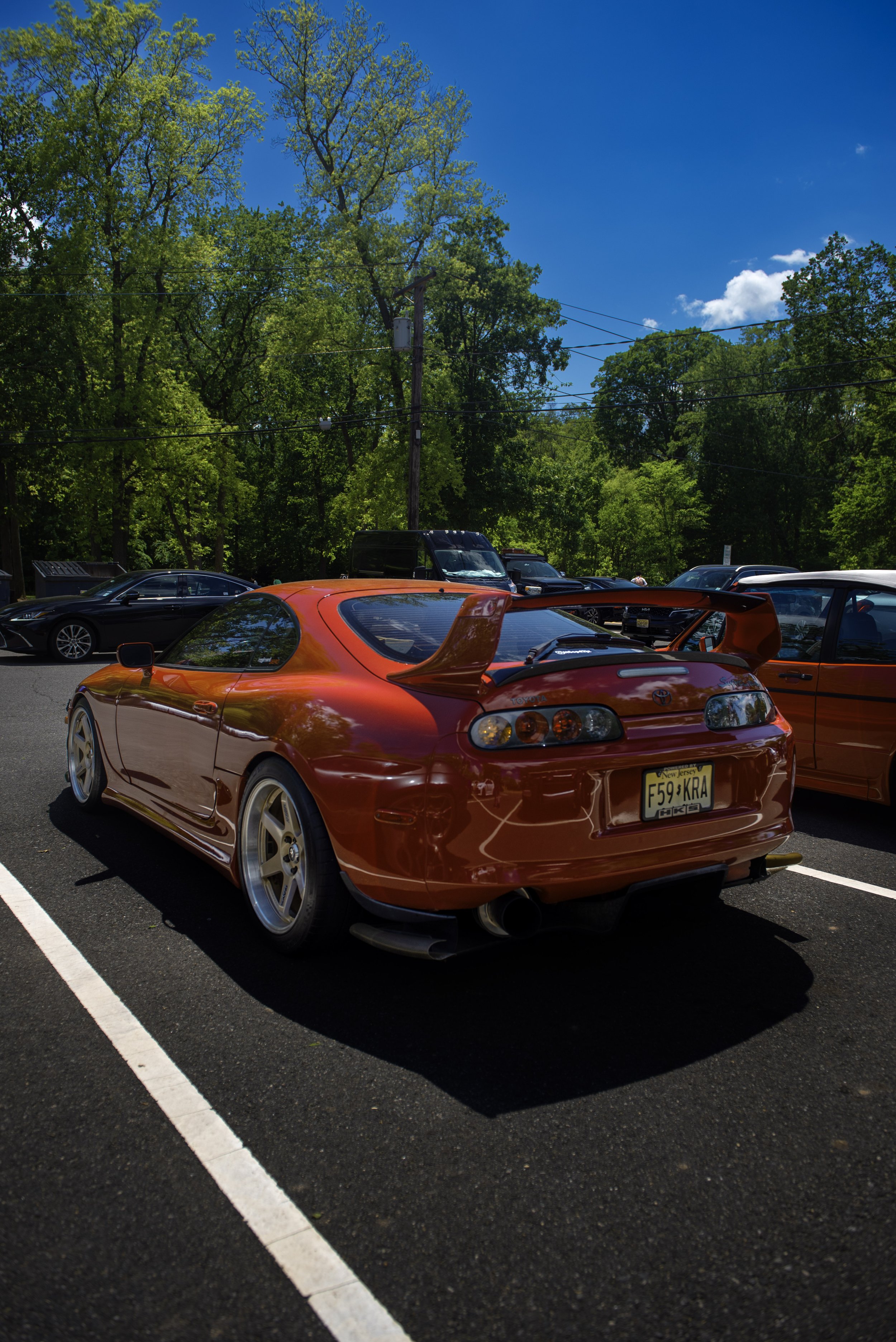 DSC_6512.jpg