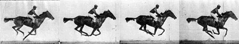 Sequential images of the same galloping horse showing the rapid succession of captured images