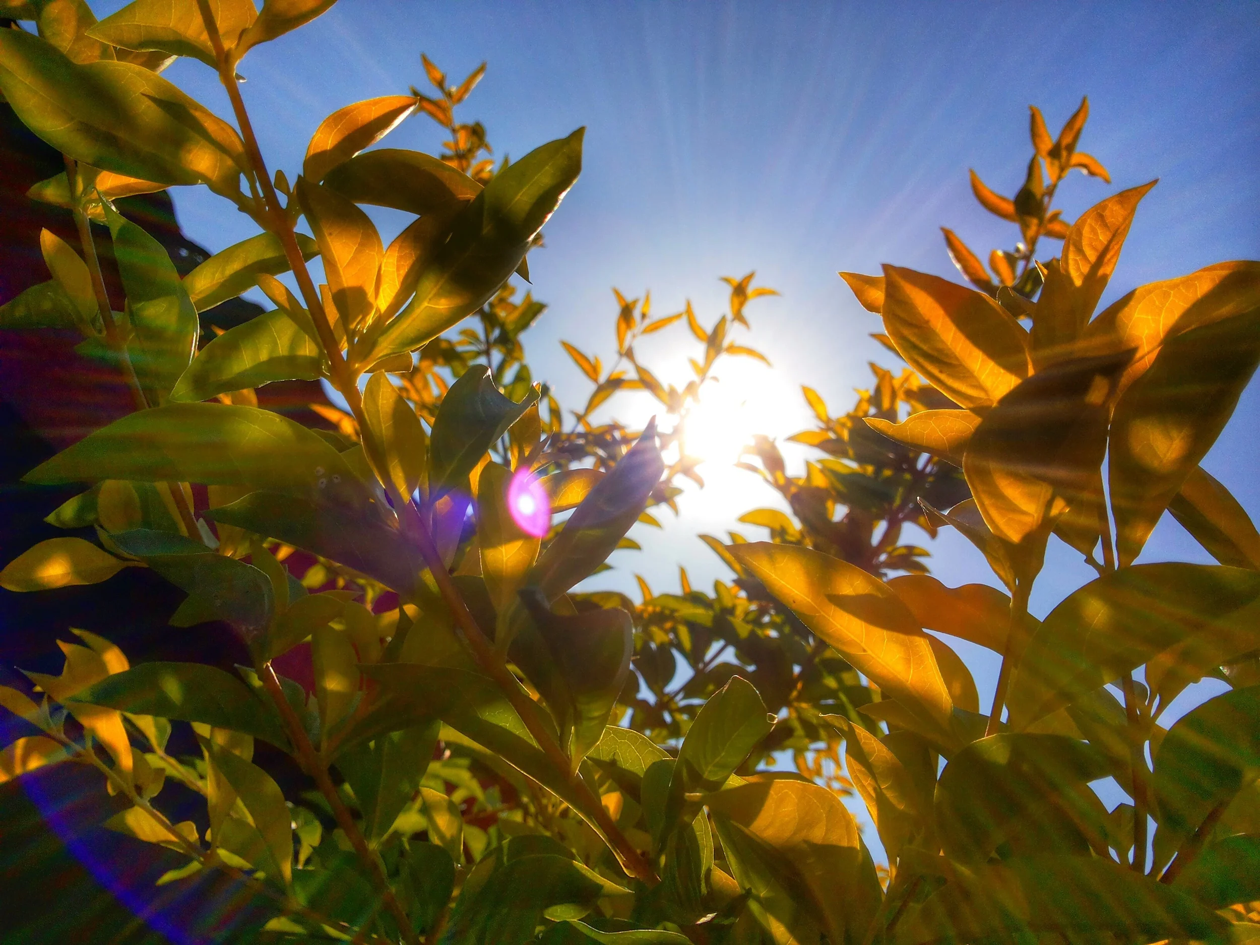 thumb_DSC_0140_1024.jpg