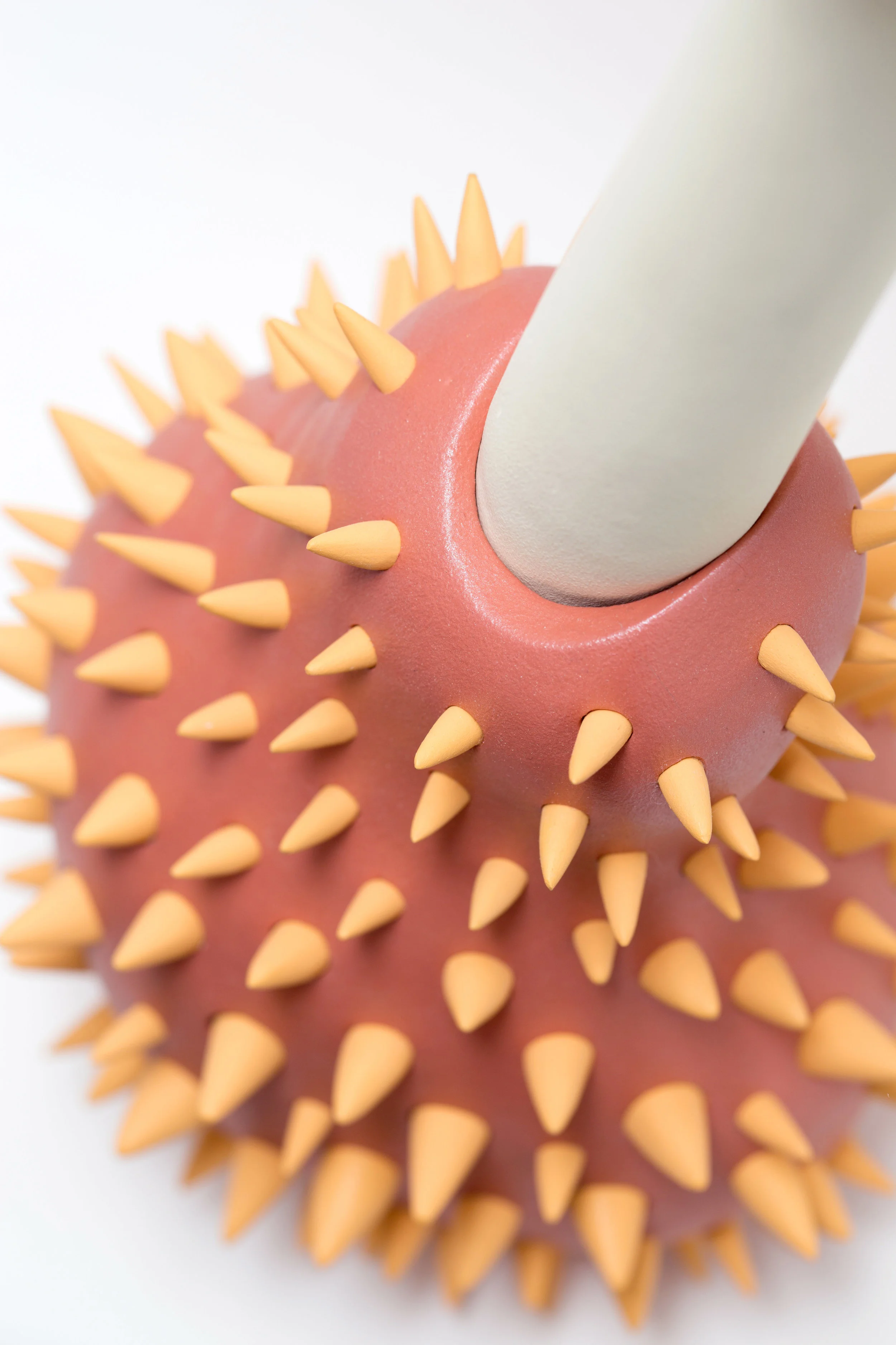 Passion Bone detail 1.jpg