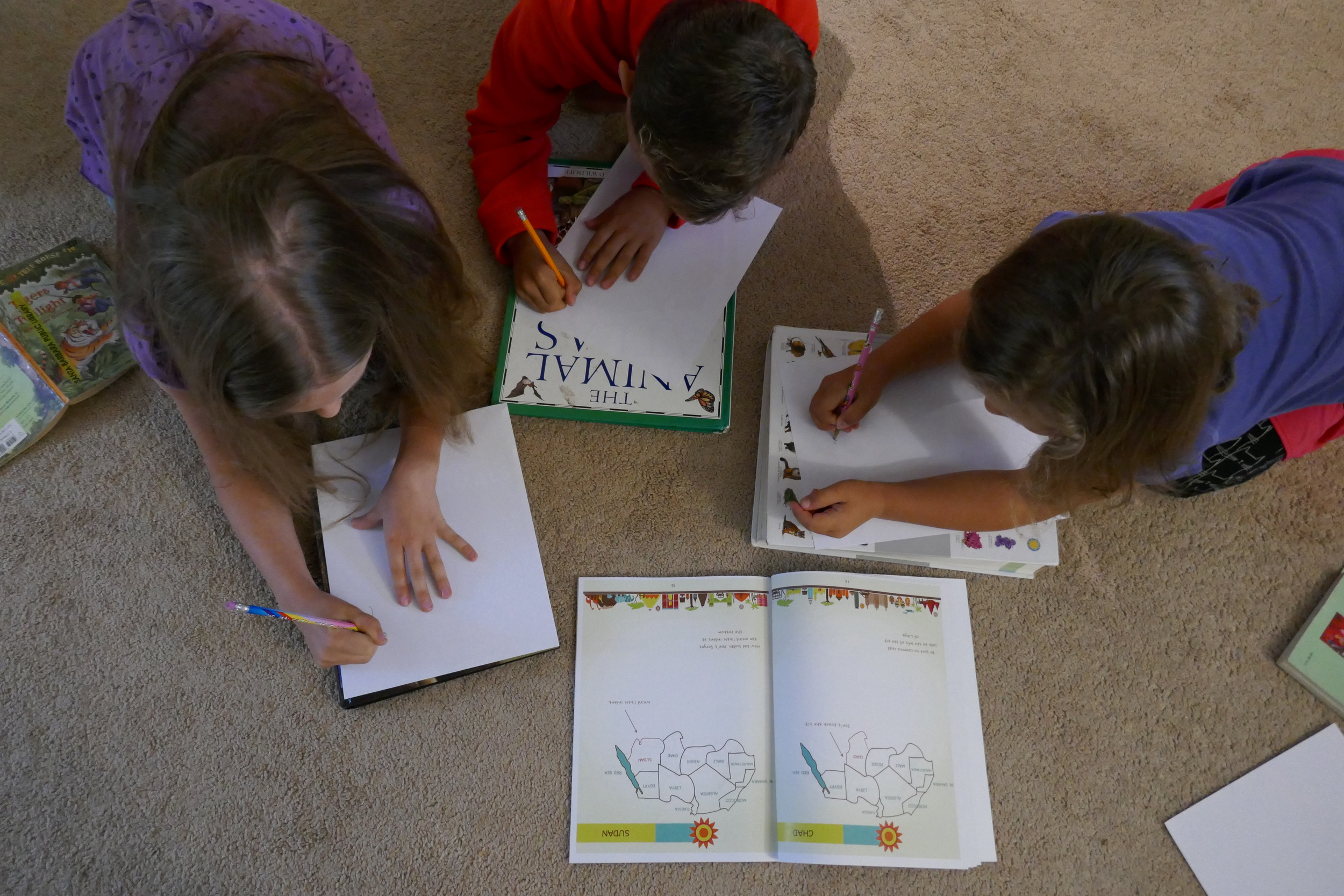 The kids learning to freehand draw Africa. 