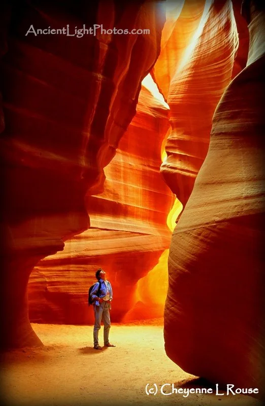  I found a lovely picture online that seemed like a great starting point. 