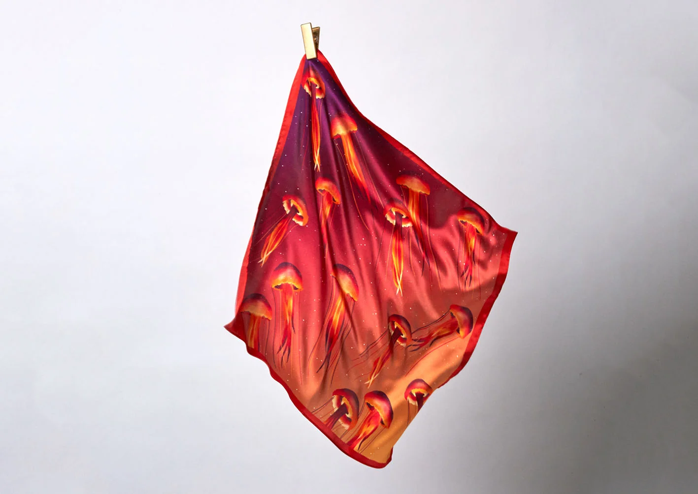 Jellyfish2.jpg