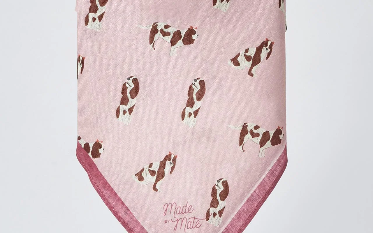 spaniel6.jpg
