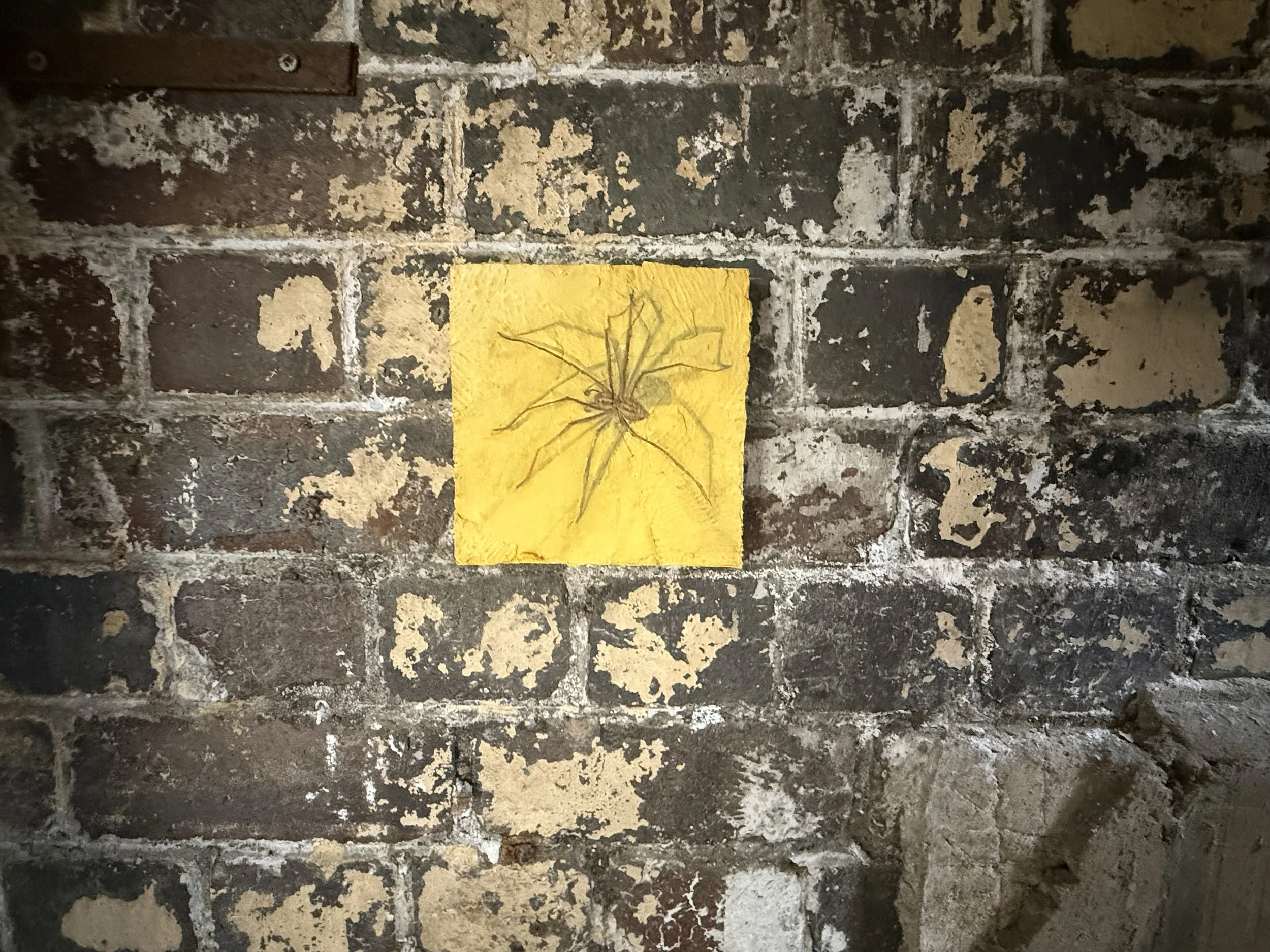 IMG_0160.jpeg