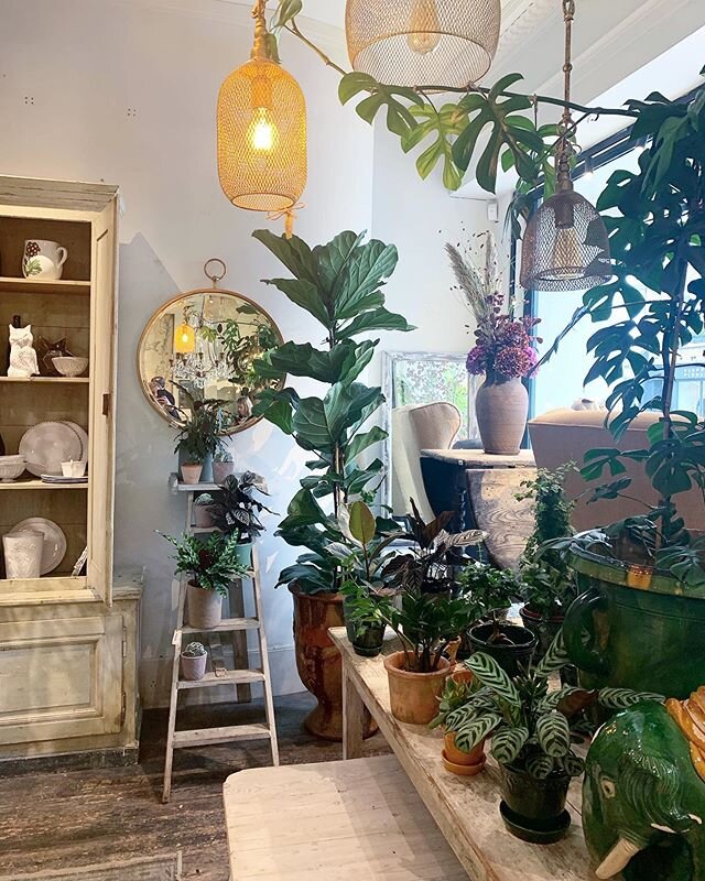 The gorgeous @petershamnurseries, Covent Garden. This is definitely one place I would love a post lockdown trip back to! Beautiful interiors, amazing plants, floral masterpieces and delicious food. 👌🏻 . 
#petershamnurseries #coventgarden #london #i