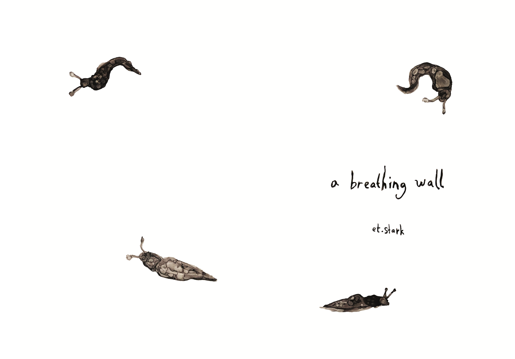 abw inside cover.png