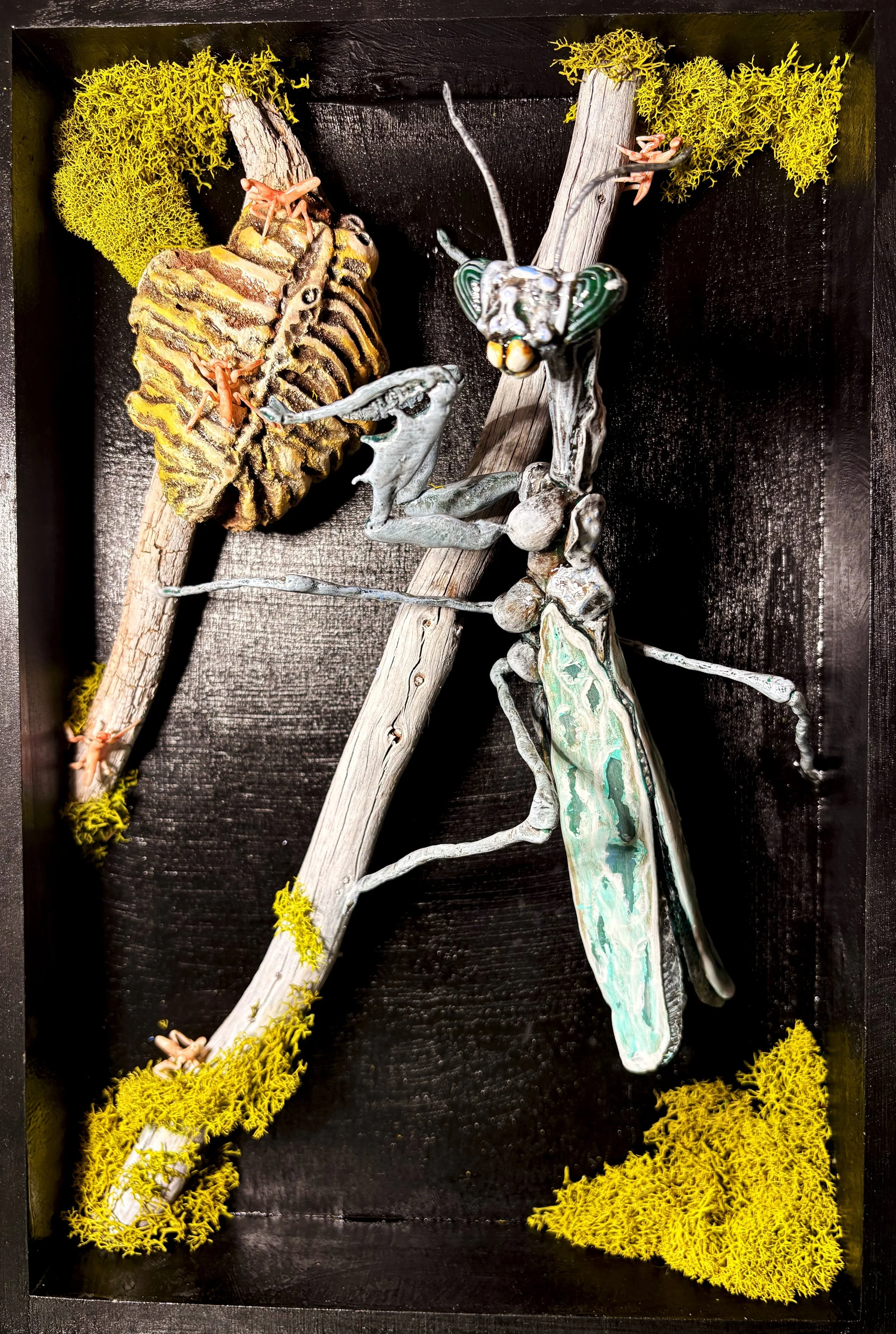 mantis.jpg