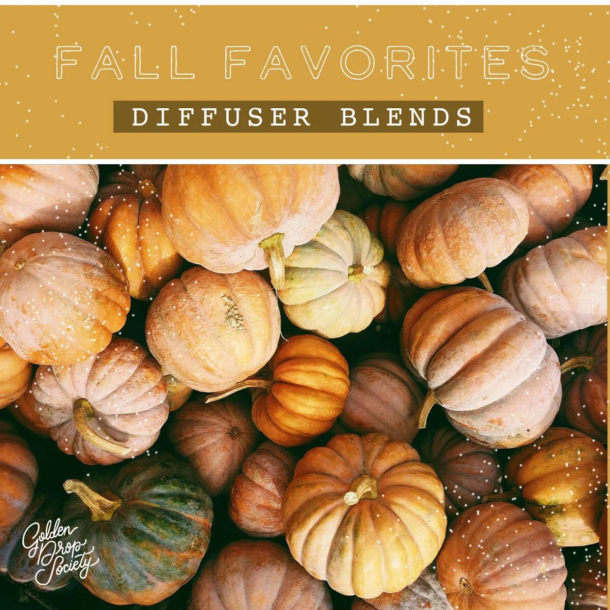 Fall Favorites Diffuser Blends