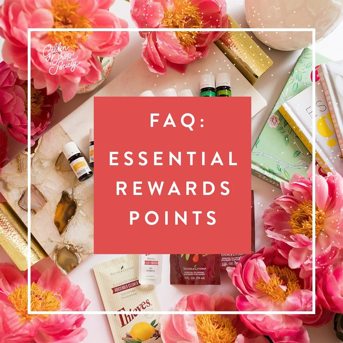 FAQ : Essential Rewards Points