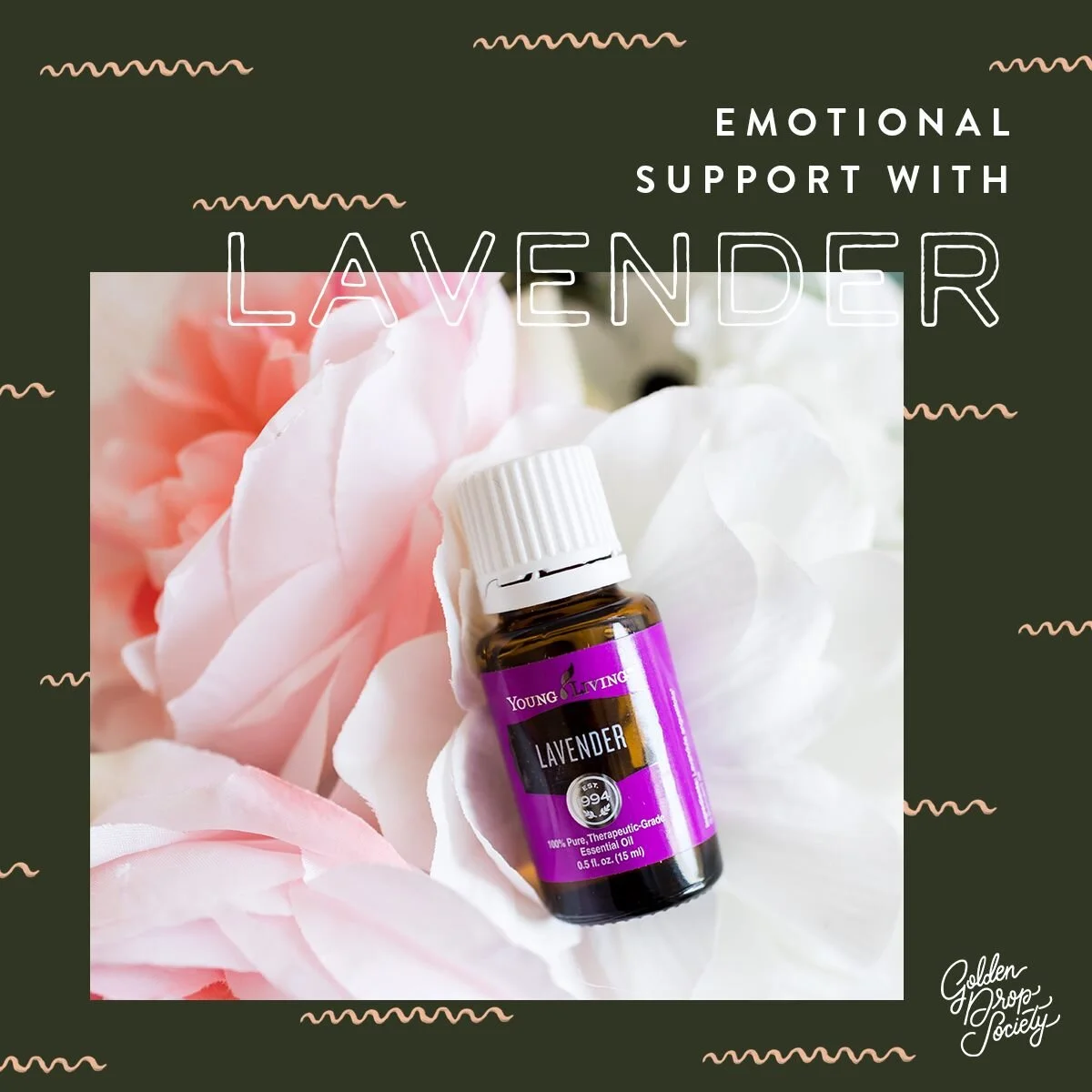 Emotional Education : Lavender