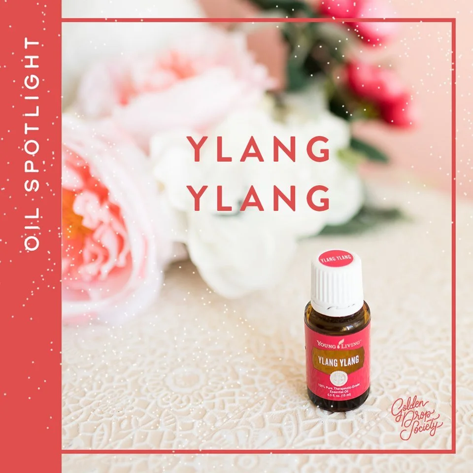 Oil Spotlight : Ylang Ylang