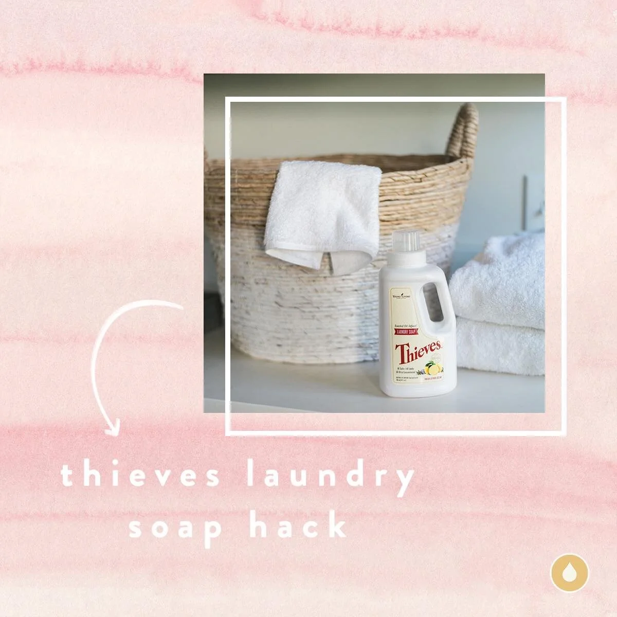Thieves Laundry Soap Hack
