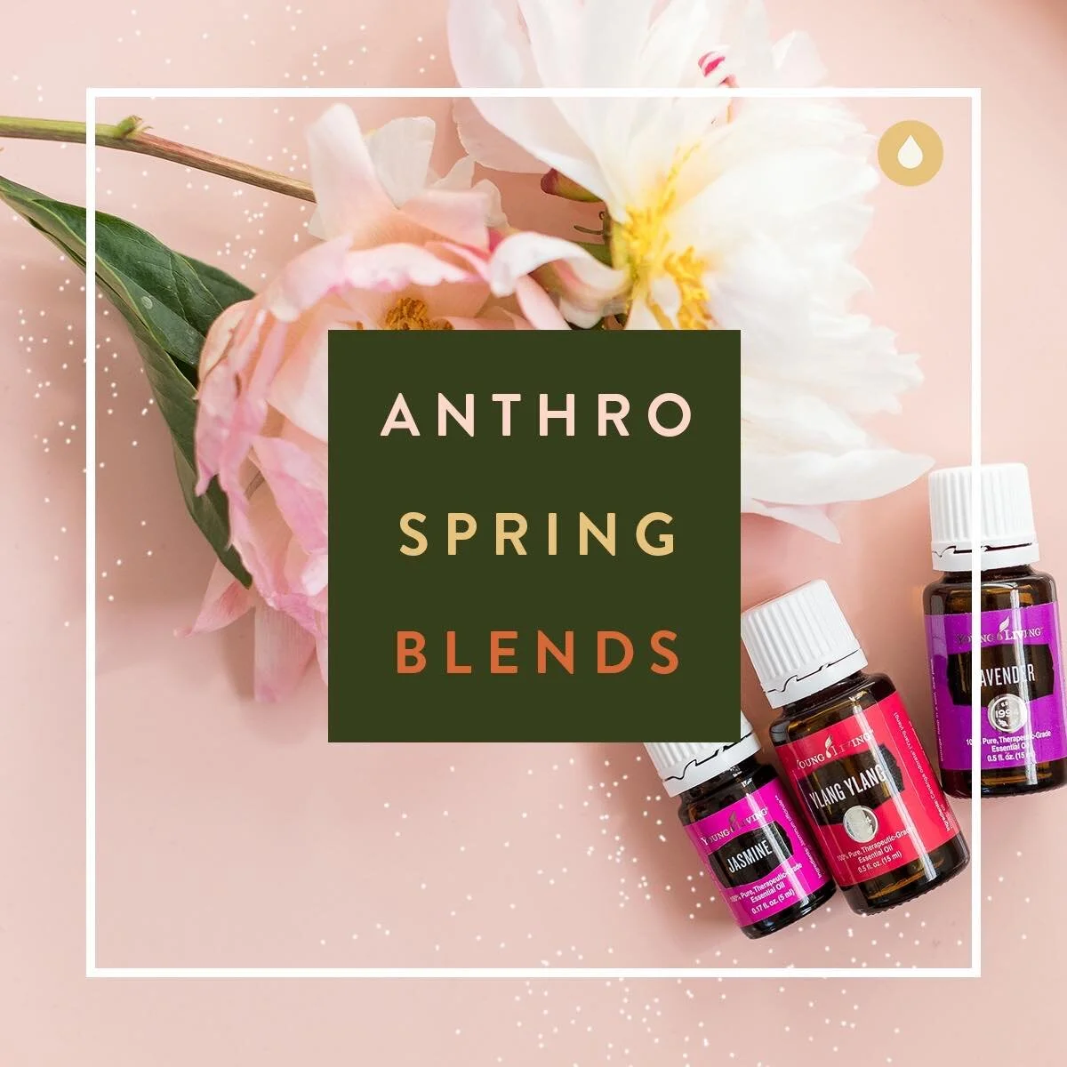 Anthropologie Inspired Diffuser Blends