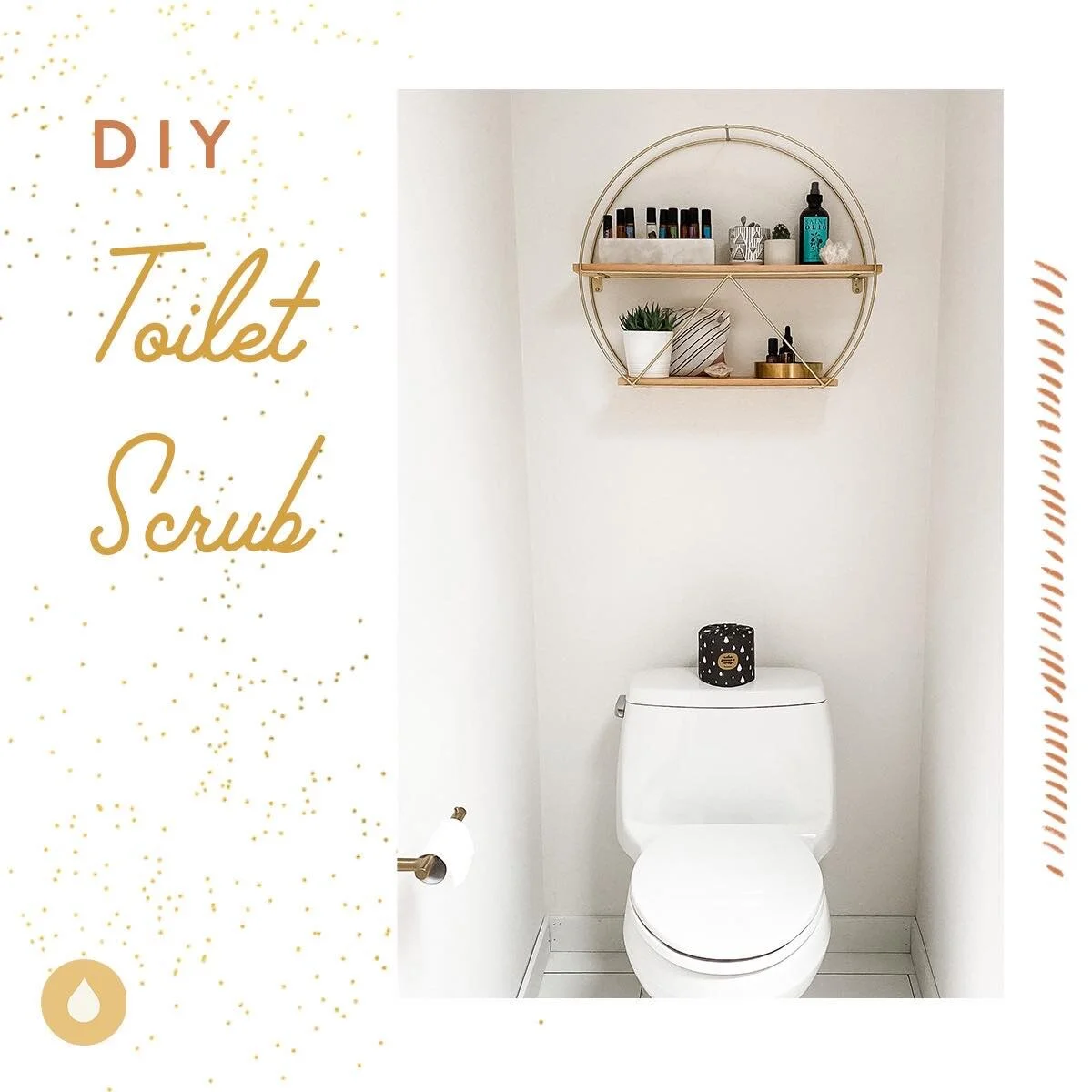 DIY Toilet Scrub