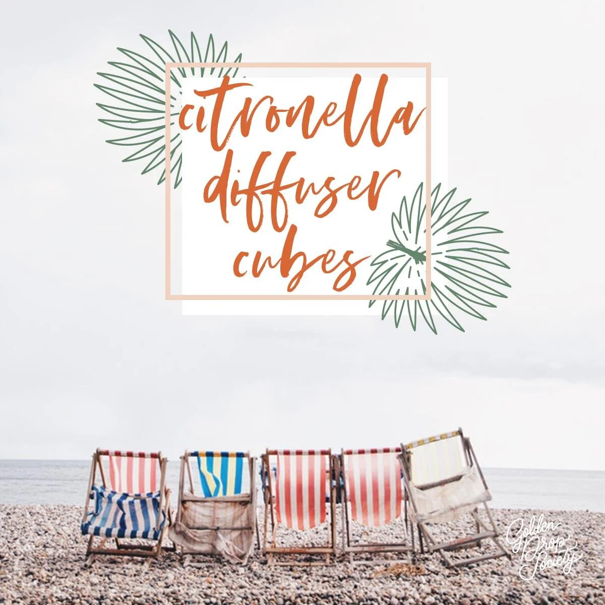 DIY Citronella Diffuser Cubes 