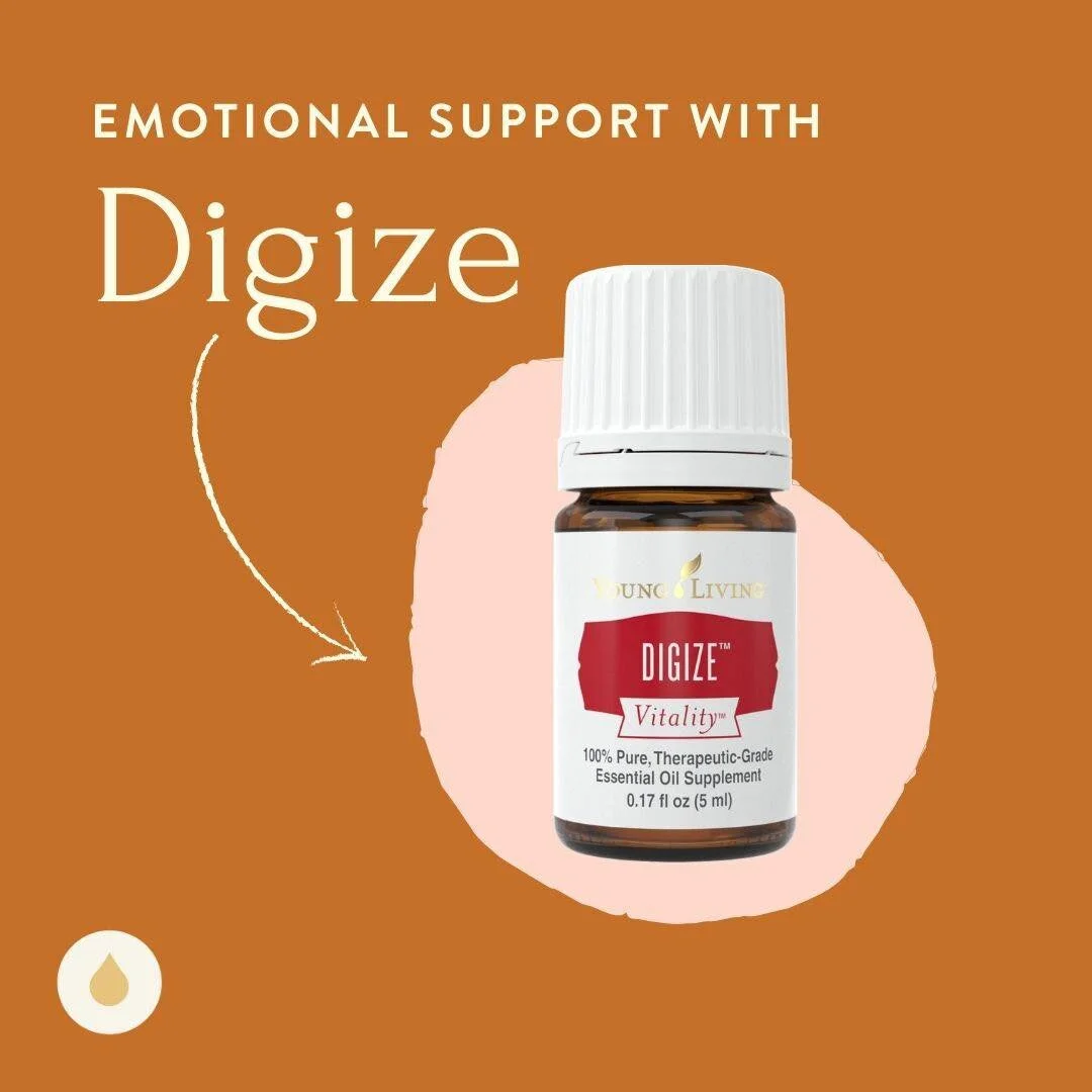 Emotional Education : Digize