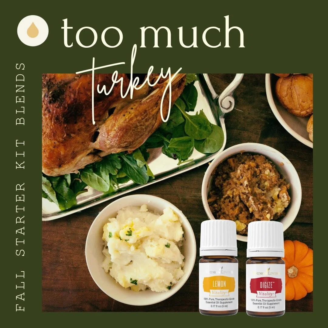 Starter Kit Diffuser Blend : Too Much Turkey!